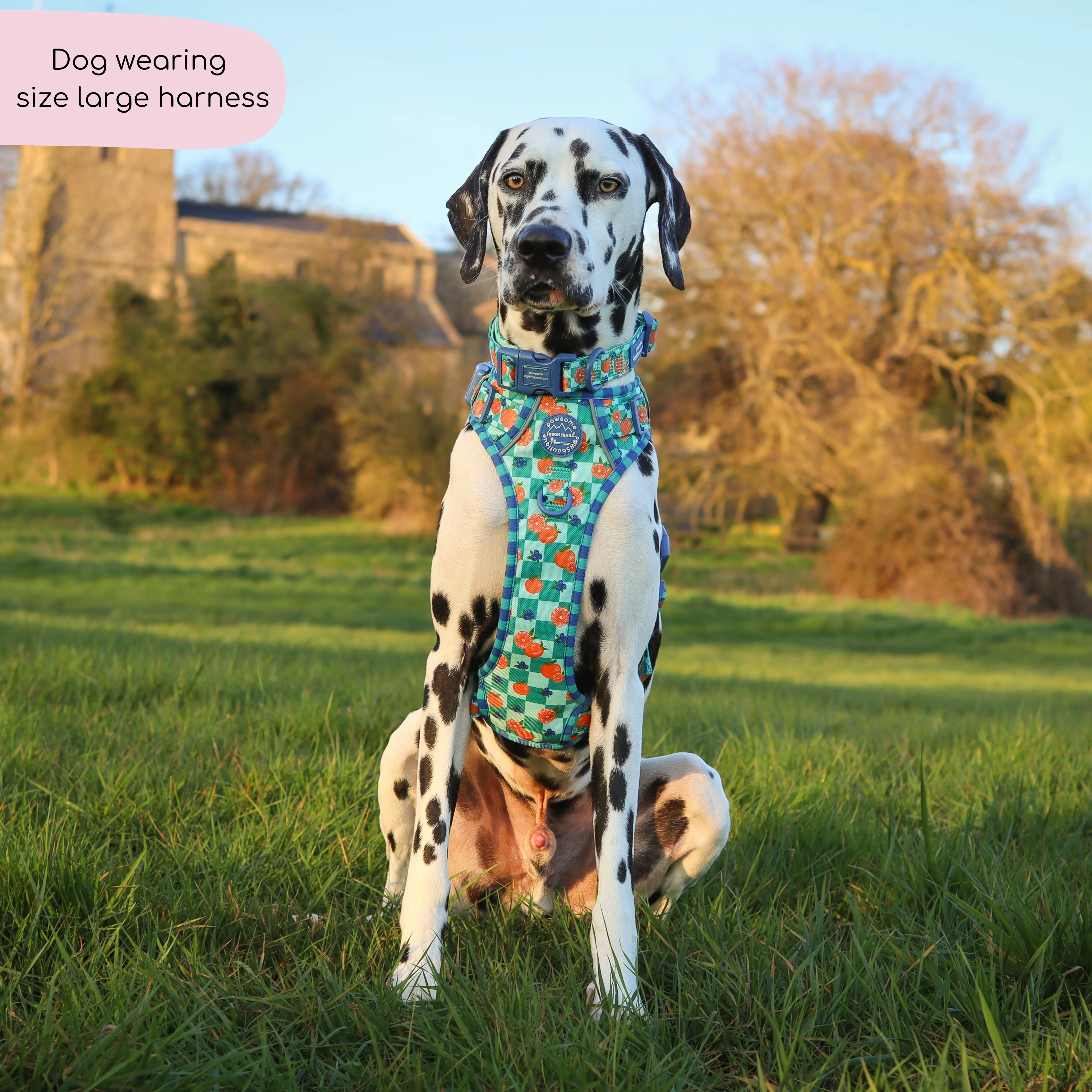 Tough Trails™ Harness - Fruit Punch - Image 15