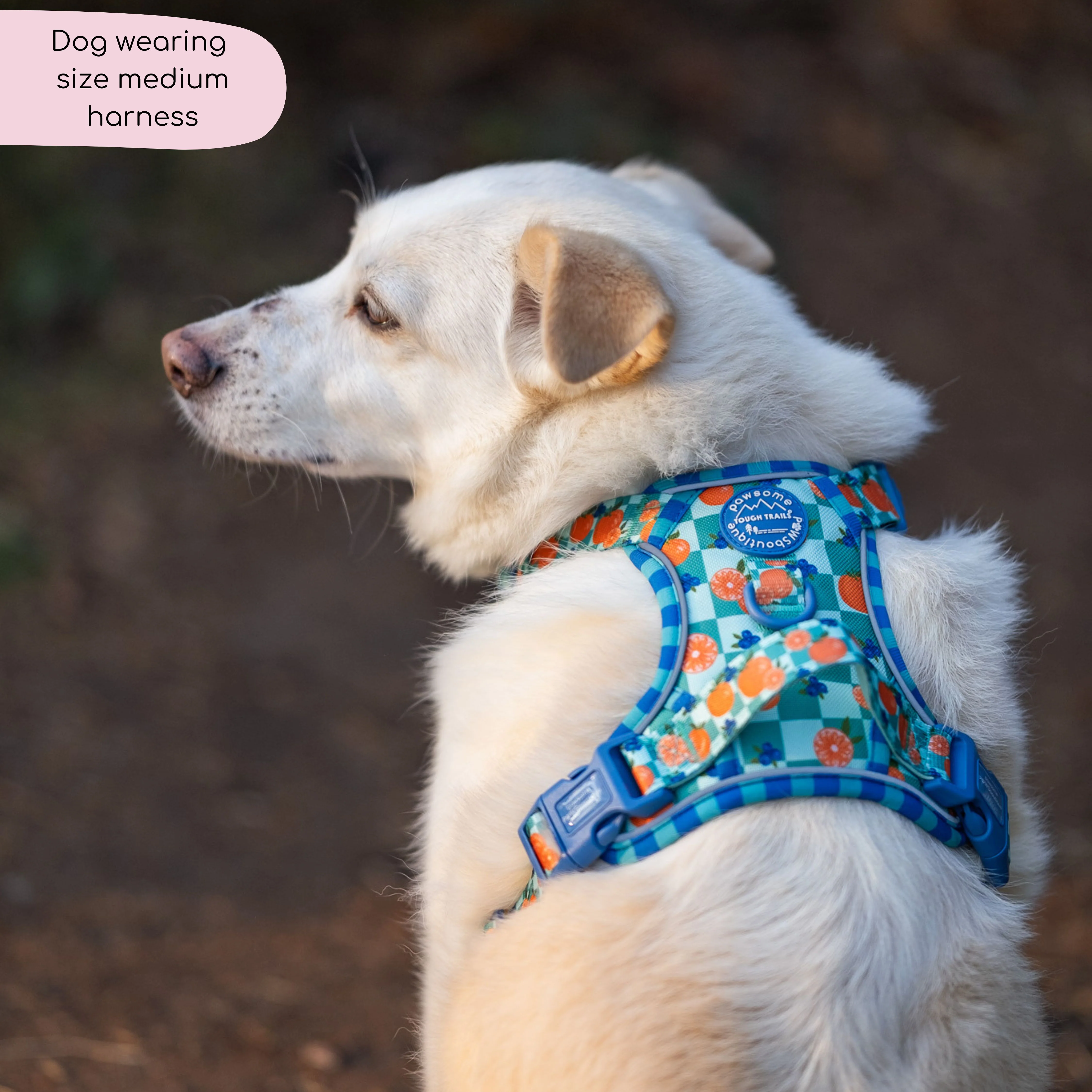 Tough Trails™ Harness - Fruit Punch - Image 16