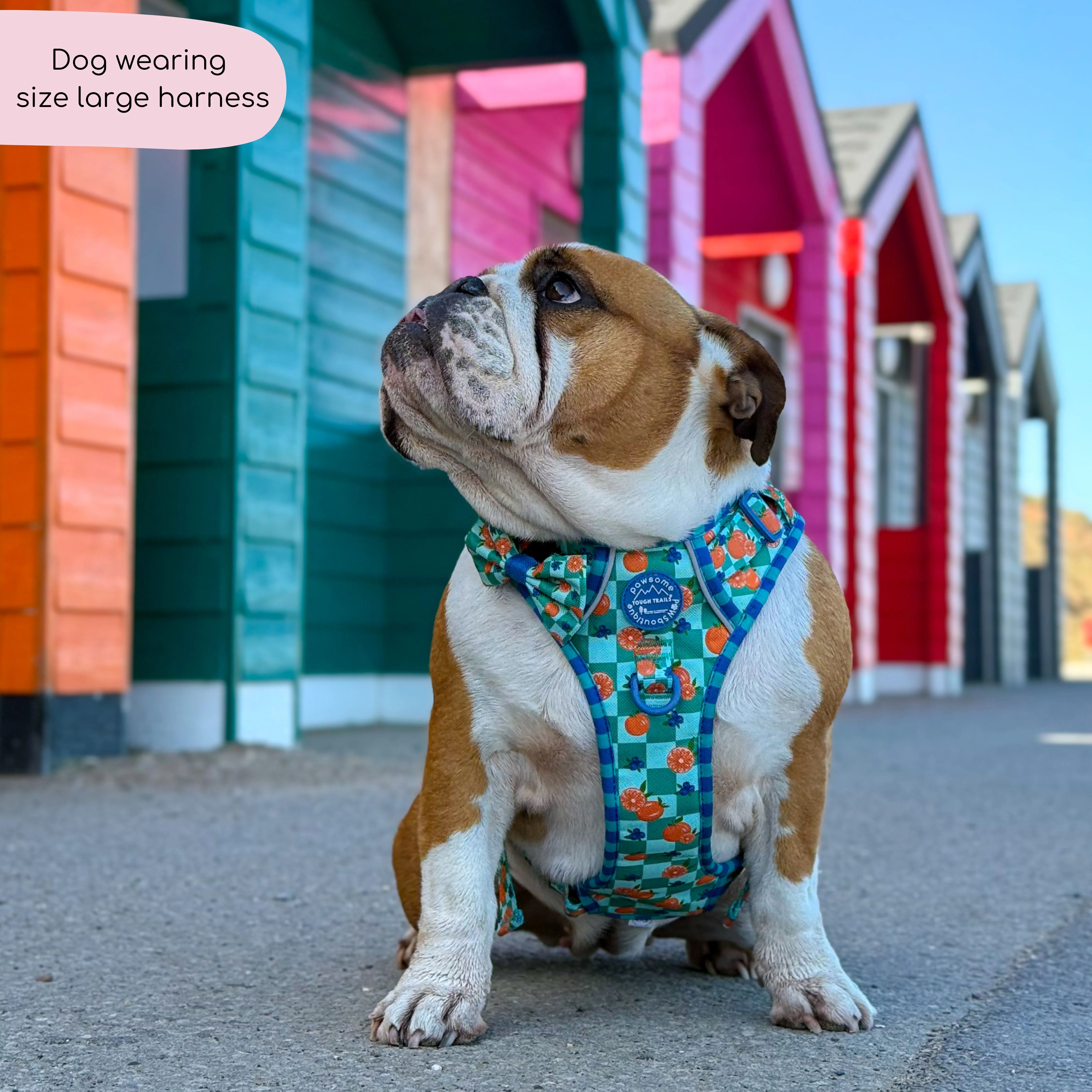 Tough Trails™ Harness - Fruit Punch - Image 17