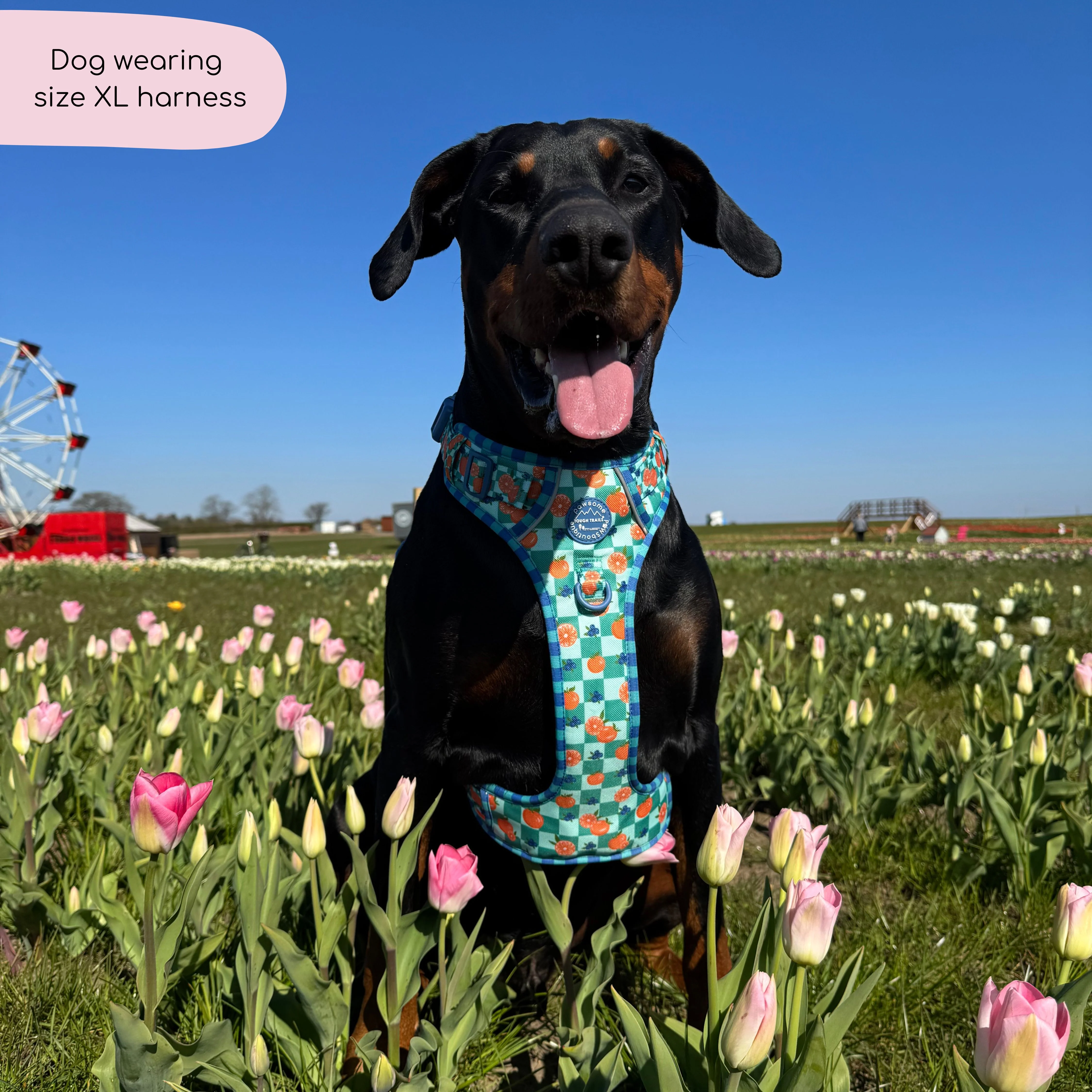 Tough Trails™ Harness - Fruit Punch - Image 19