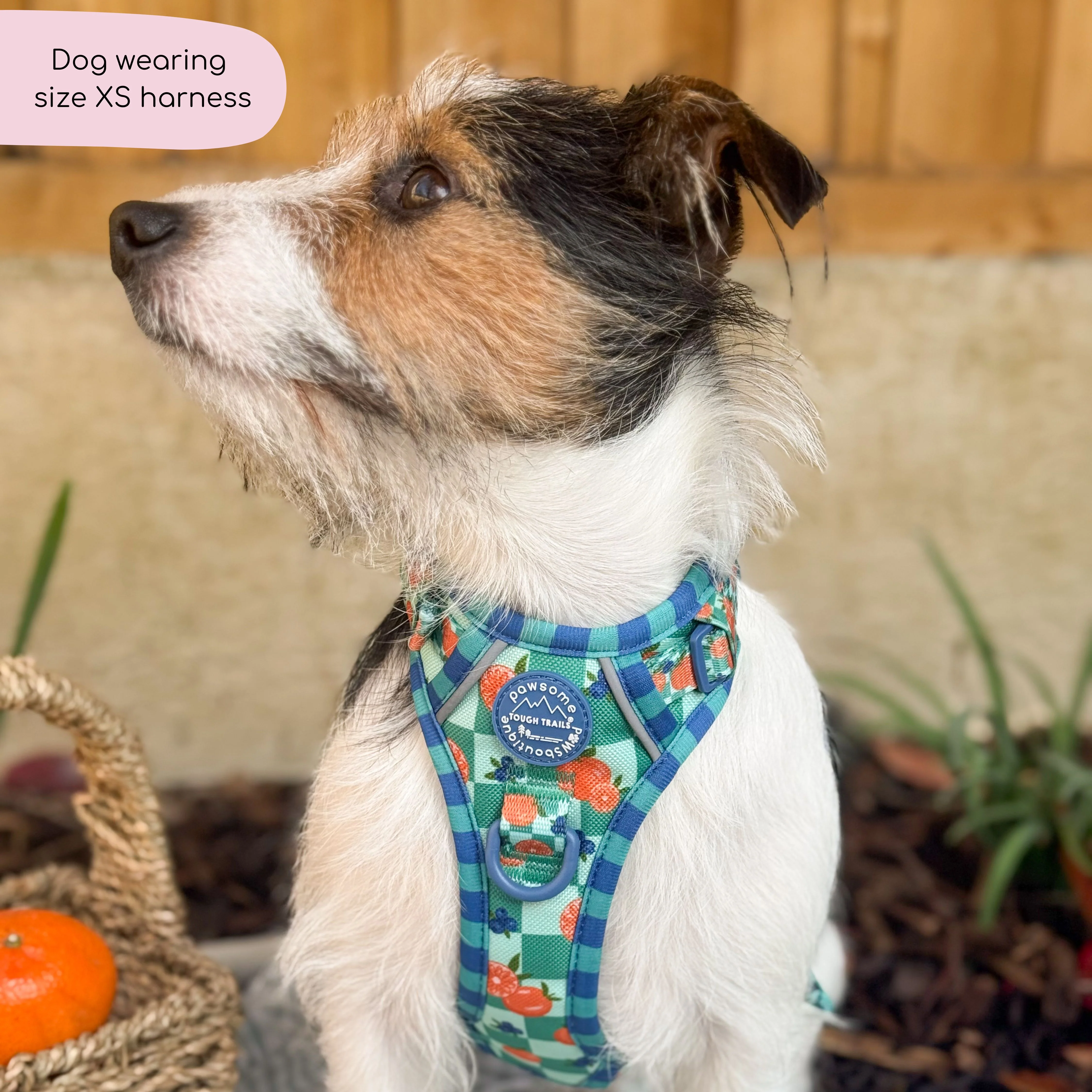 Tough Trails™ Harness - Fruit Punch - Image 21