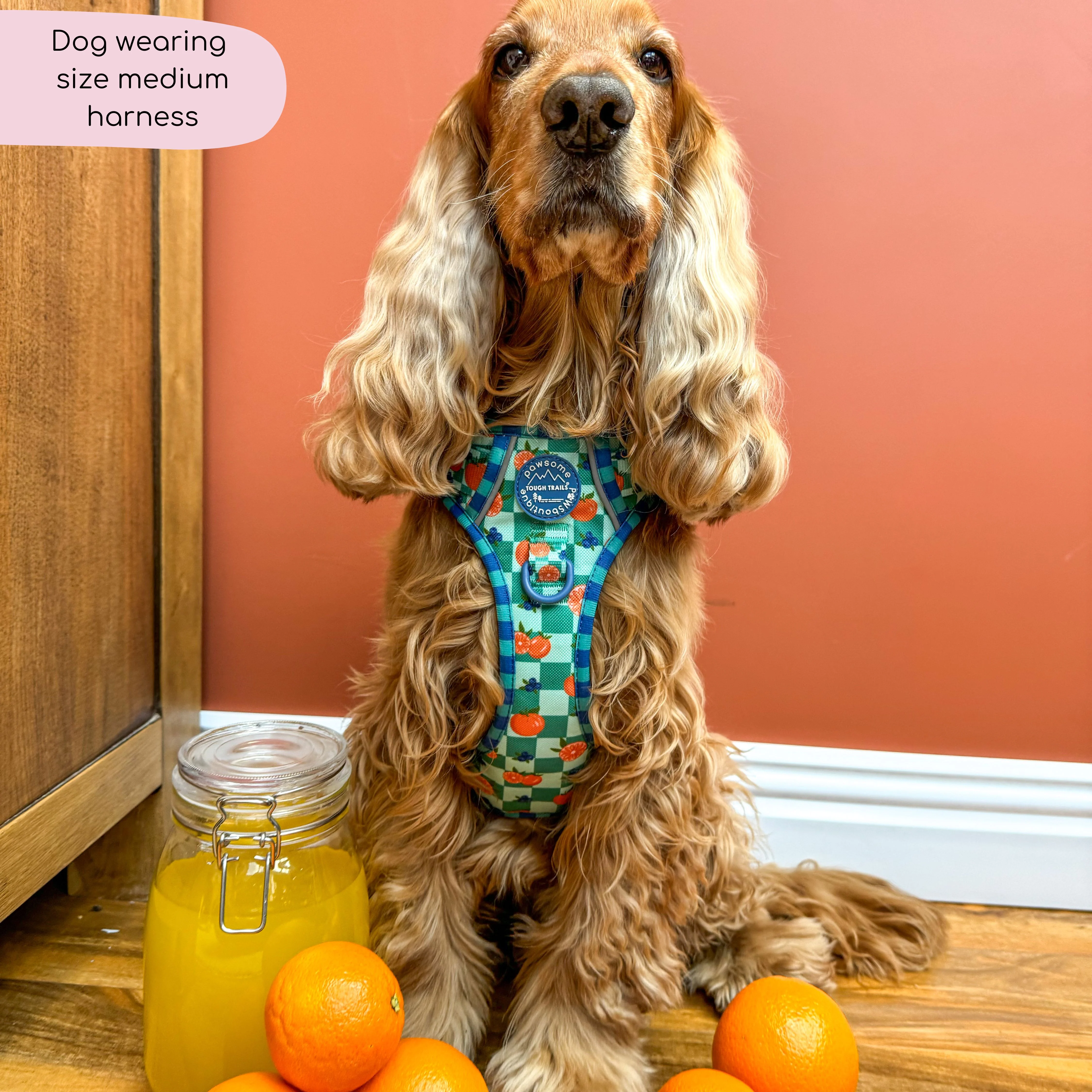 Tough Trails™ Harness - Fruit Punch - Image 23
