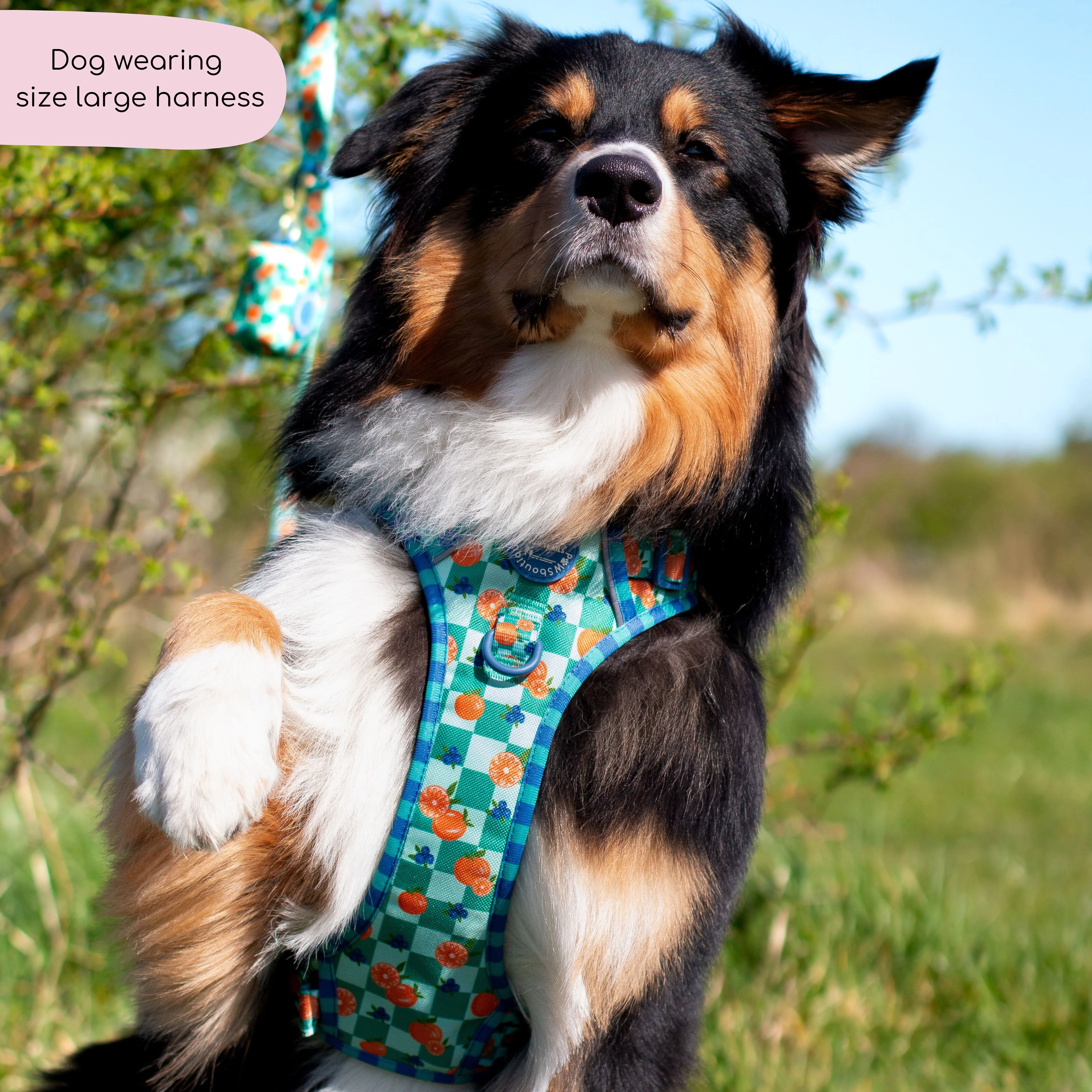 Tough Trails™ Harness - Fruit Punch - Image 5