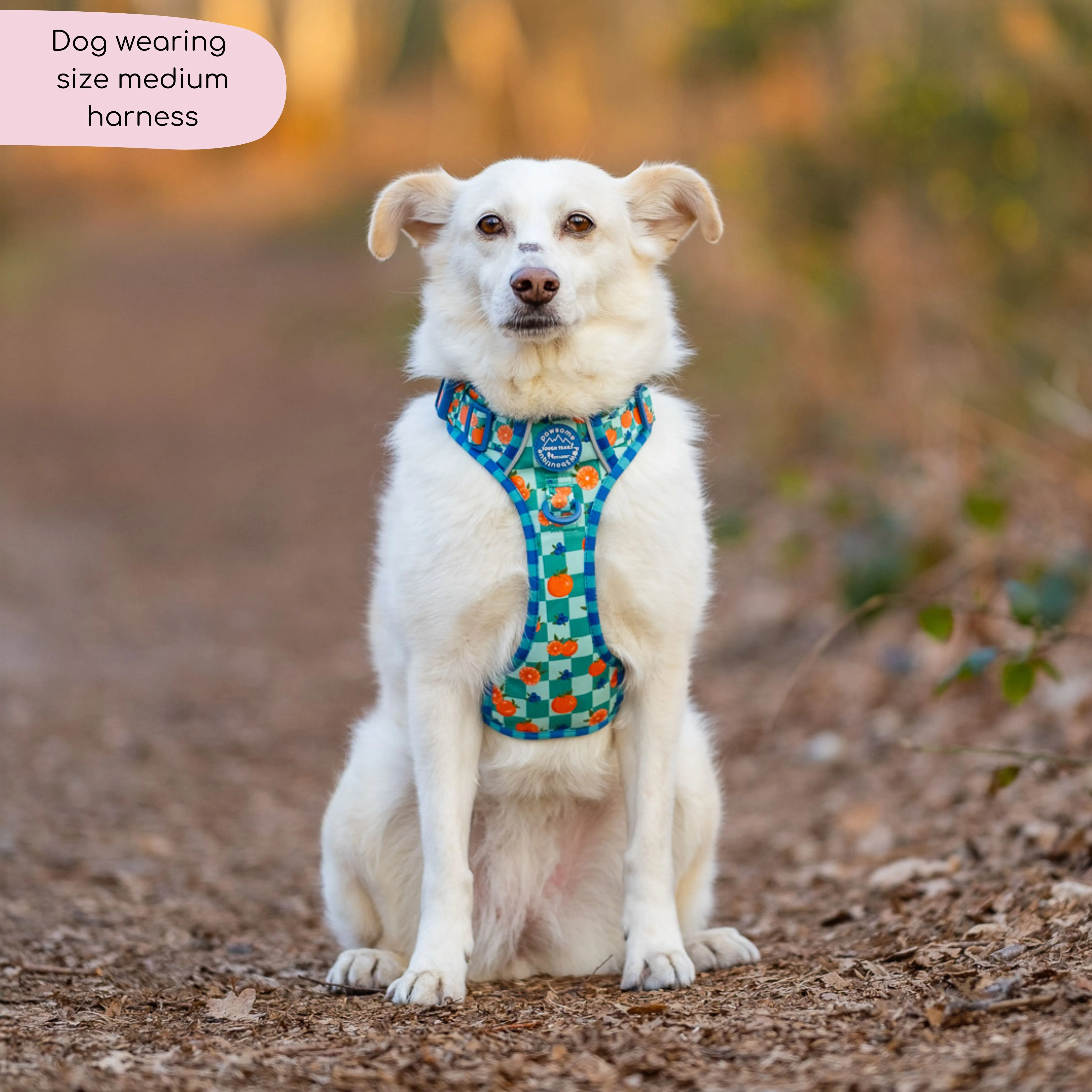 Tough Trails™ Harness - Fruit Punch - Image 6