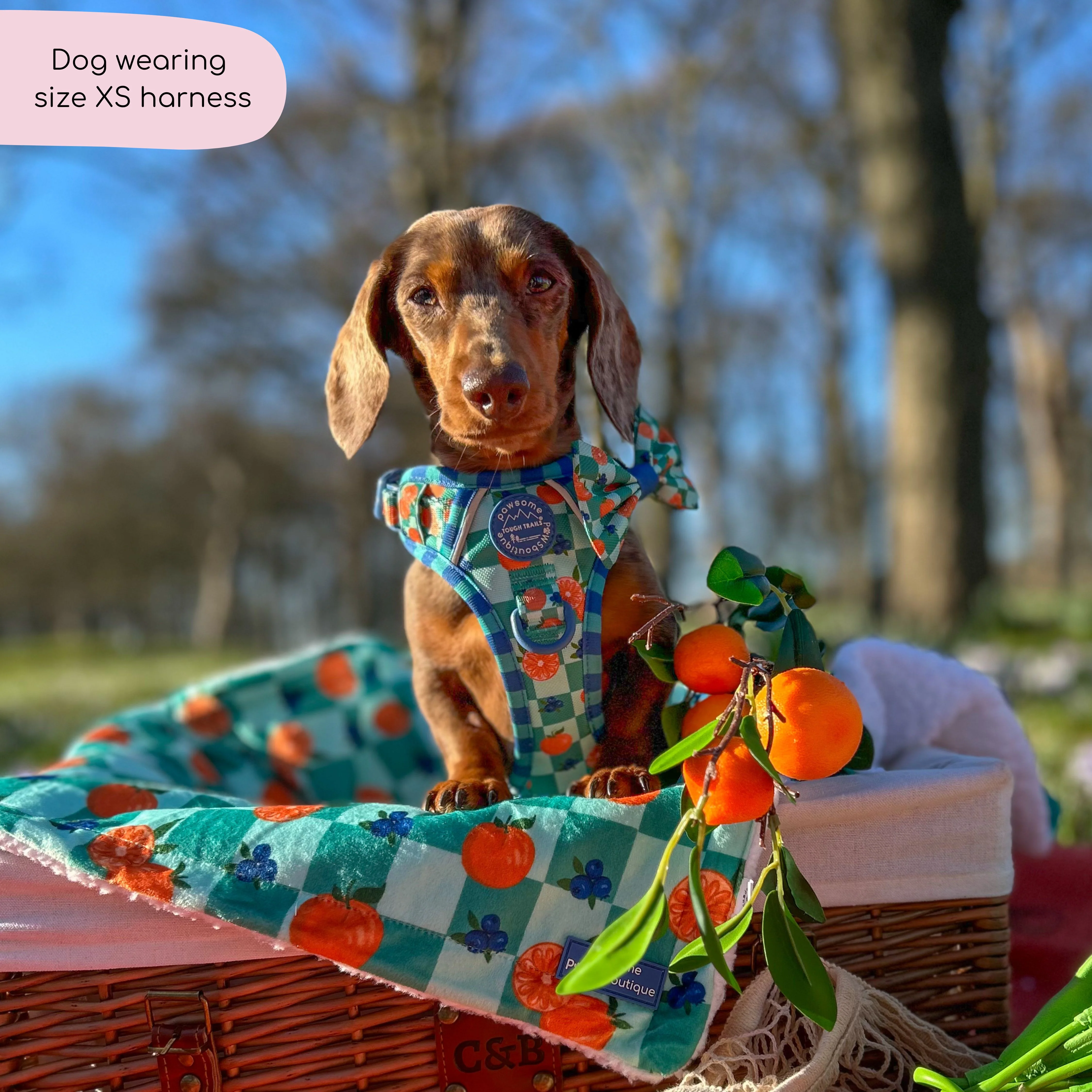 Tough Trails™ Harness - Fruit Punch - Image 9