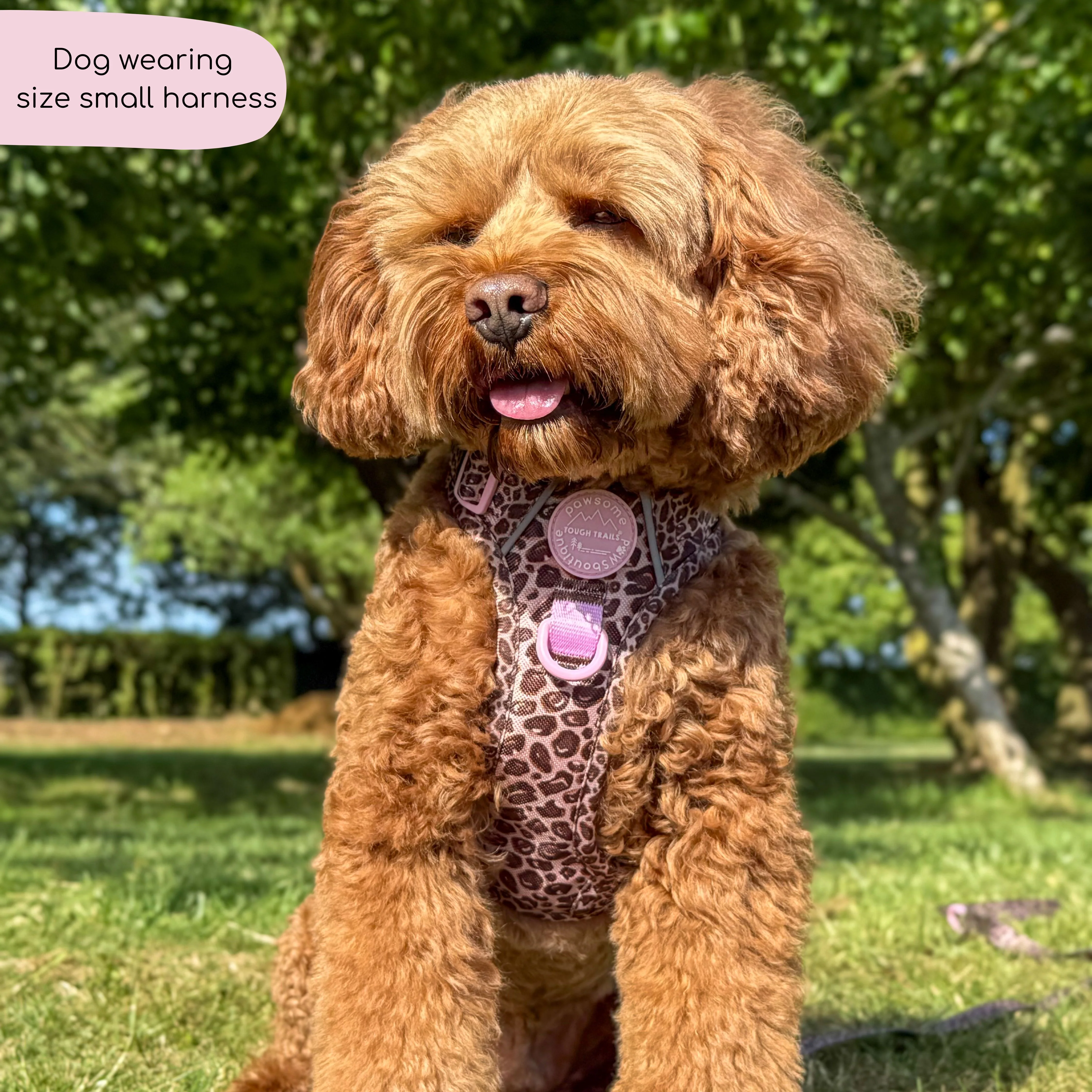 Tough Trails™ Harness - Leopard Print - Image 17