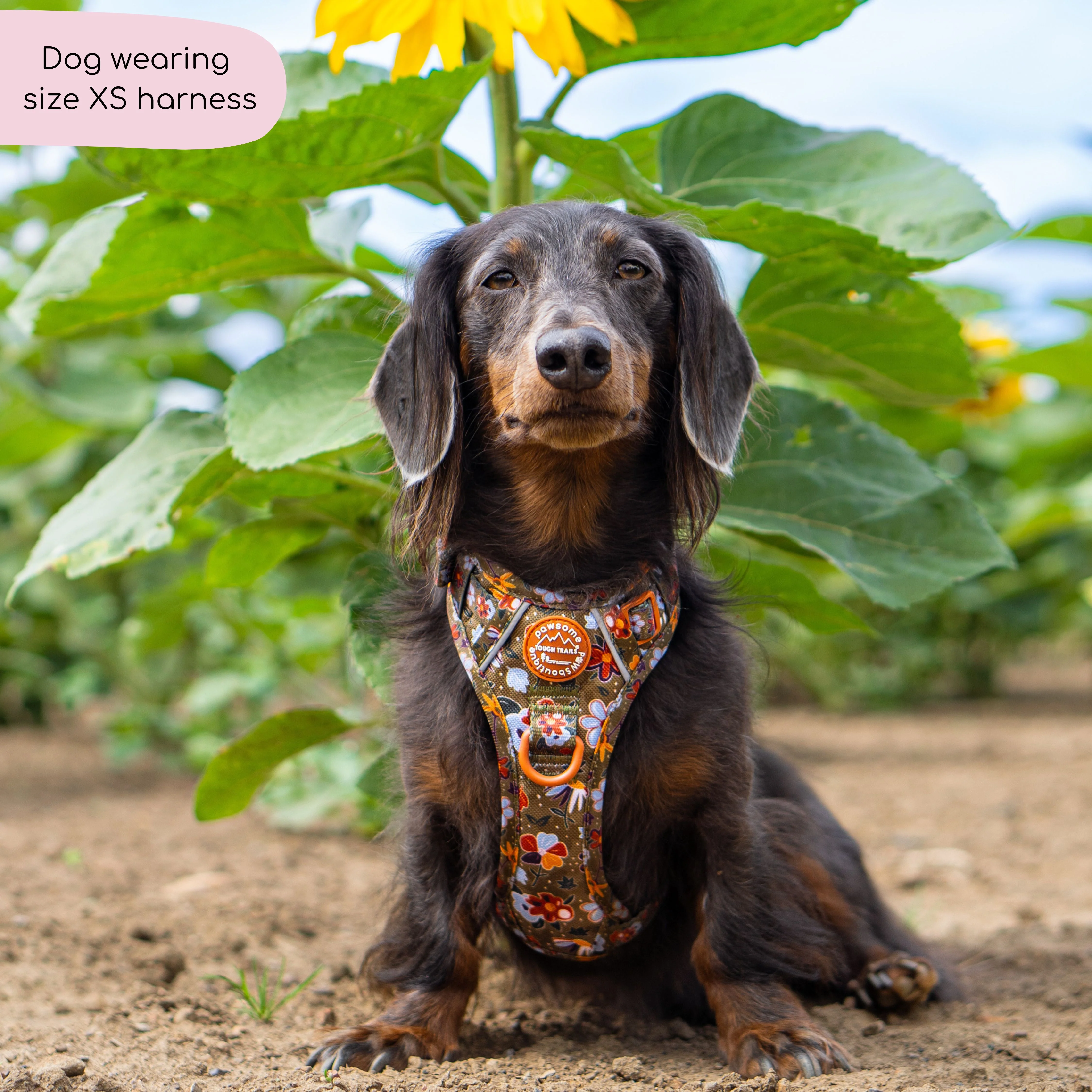 Tough Trails™ Harness - Rust & Bloom - Image 11