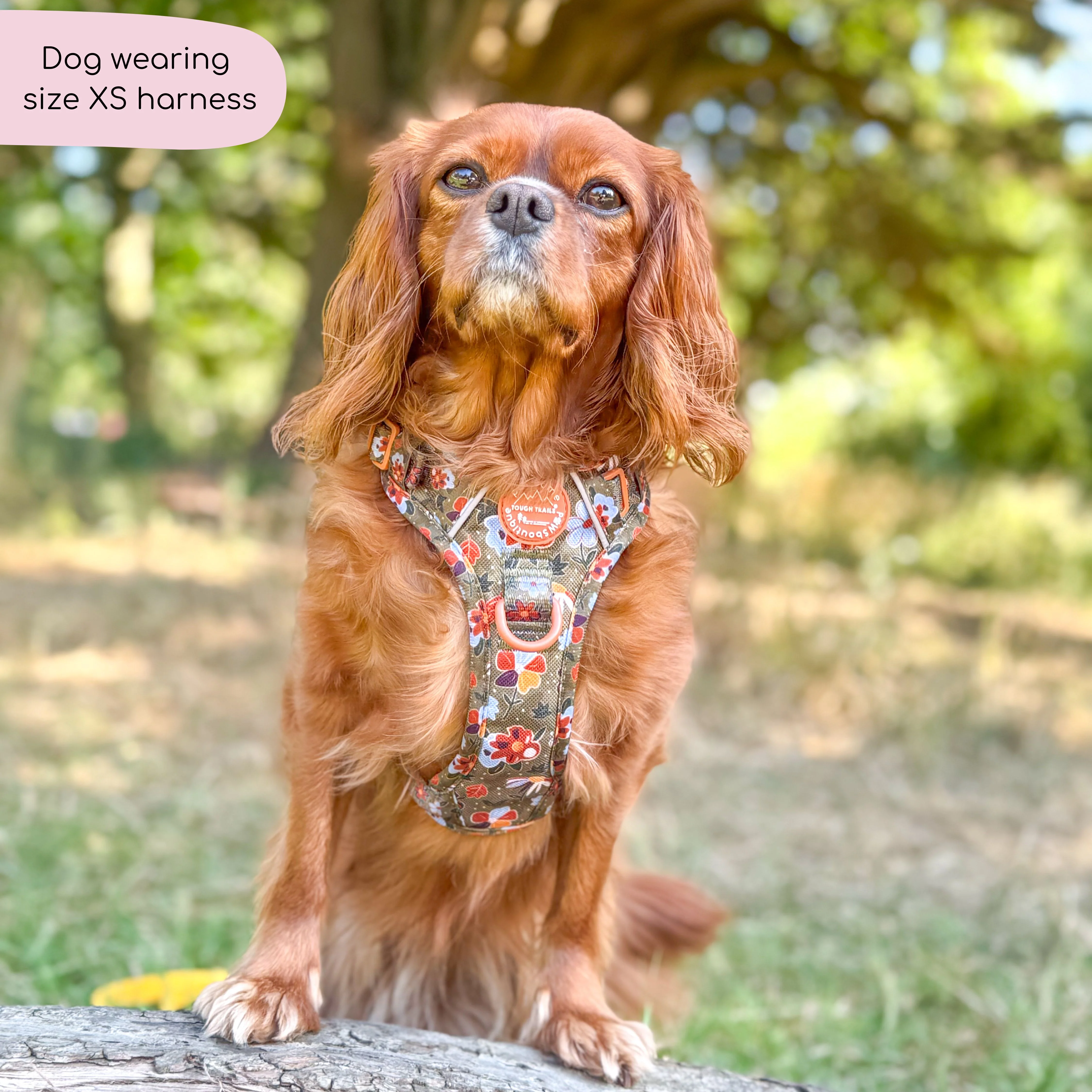 Tough Trails™ Harness - Rust & Bloom - Image 21