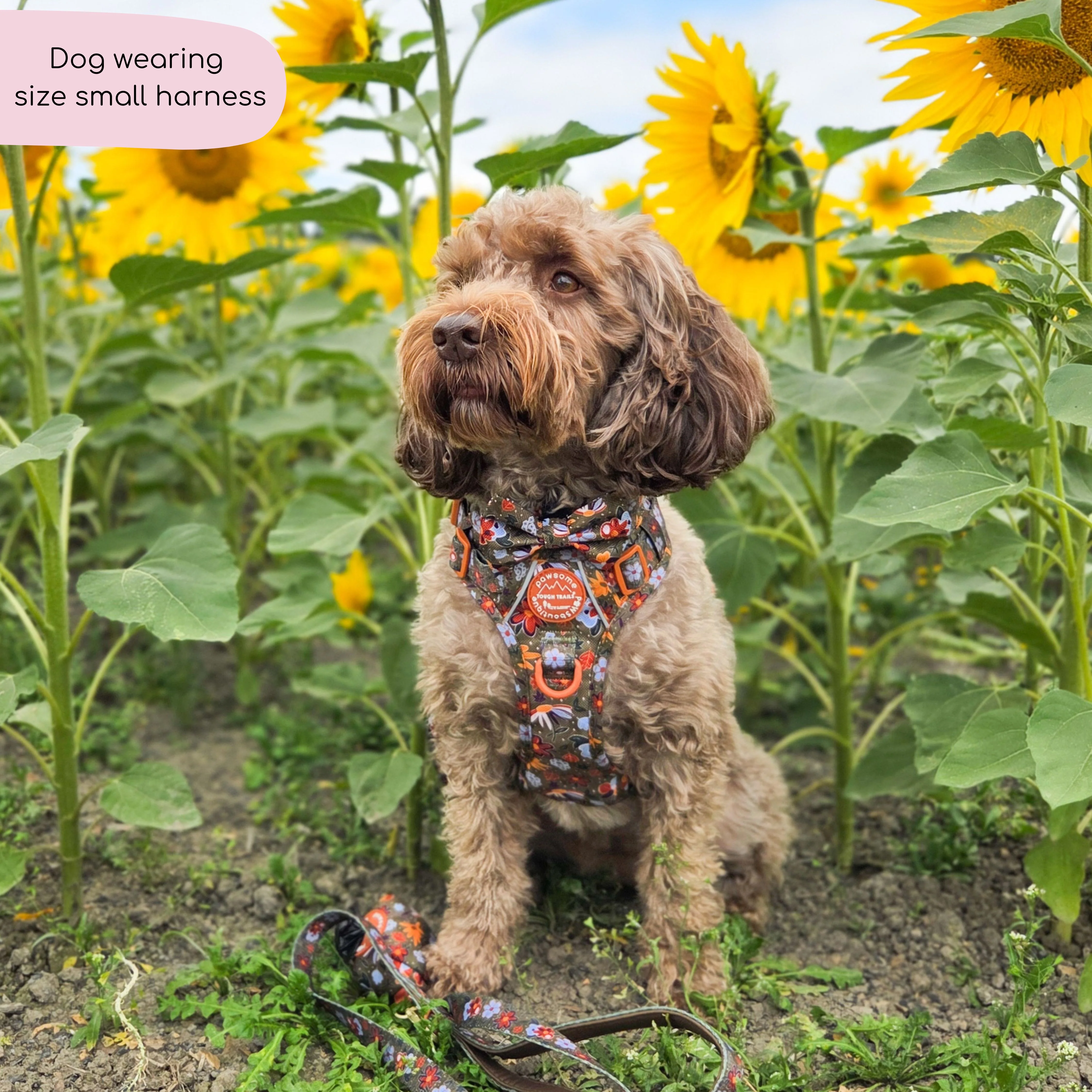 Tough Trails™ Harness - Rust & Bloom - Image 22