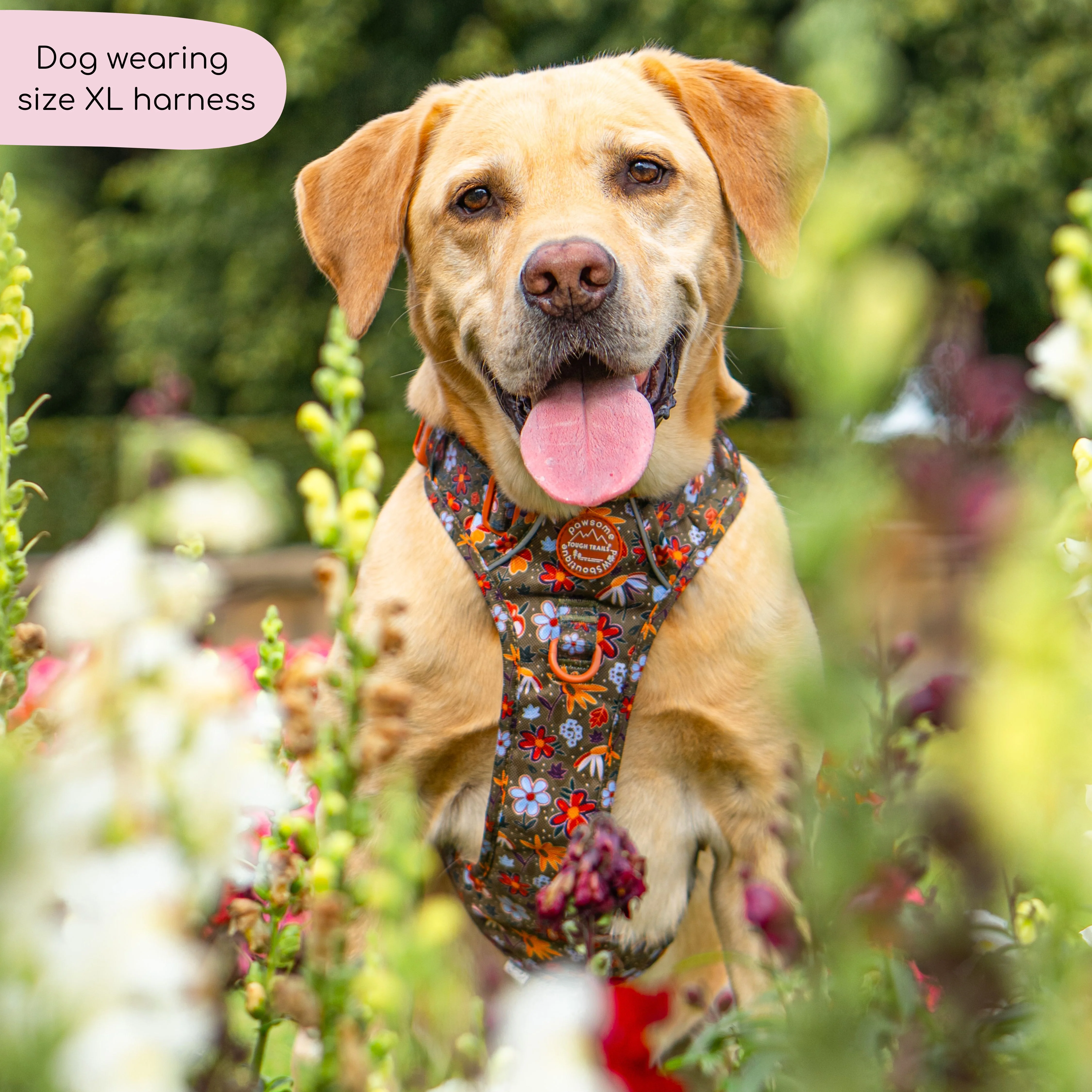 Tough Trails™ Harness - Rust & Bloom - Image 4
