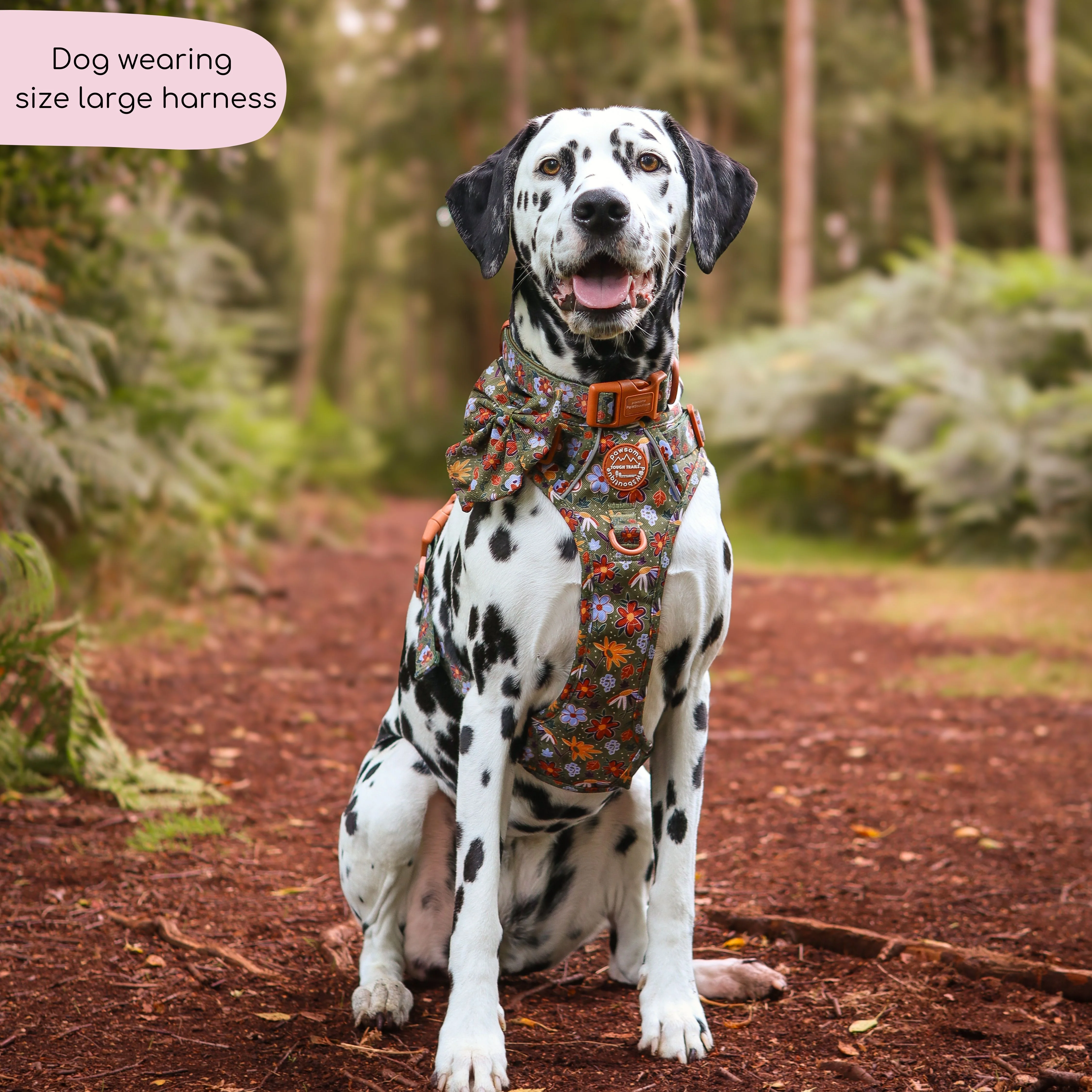 Tough Trails™ Harness - Rust & Bloom - Image 8
