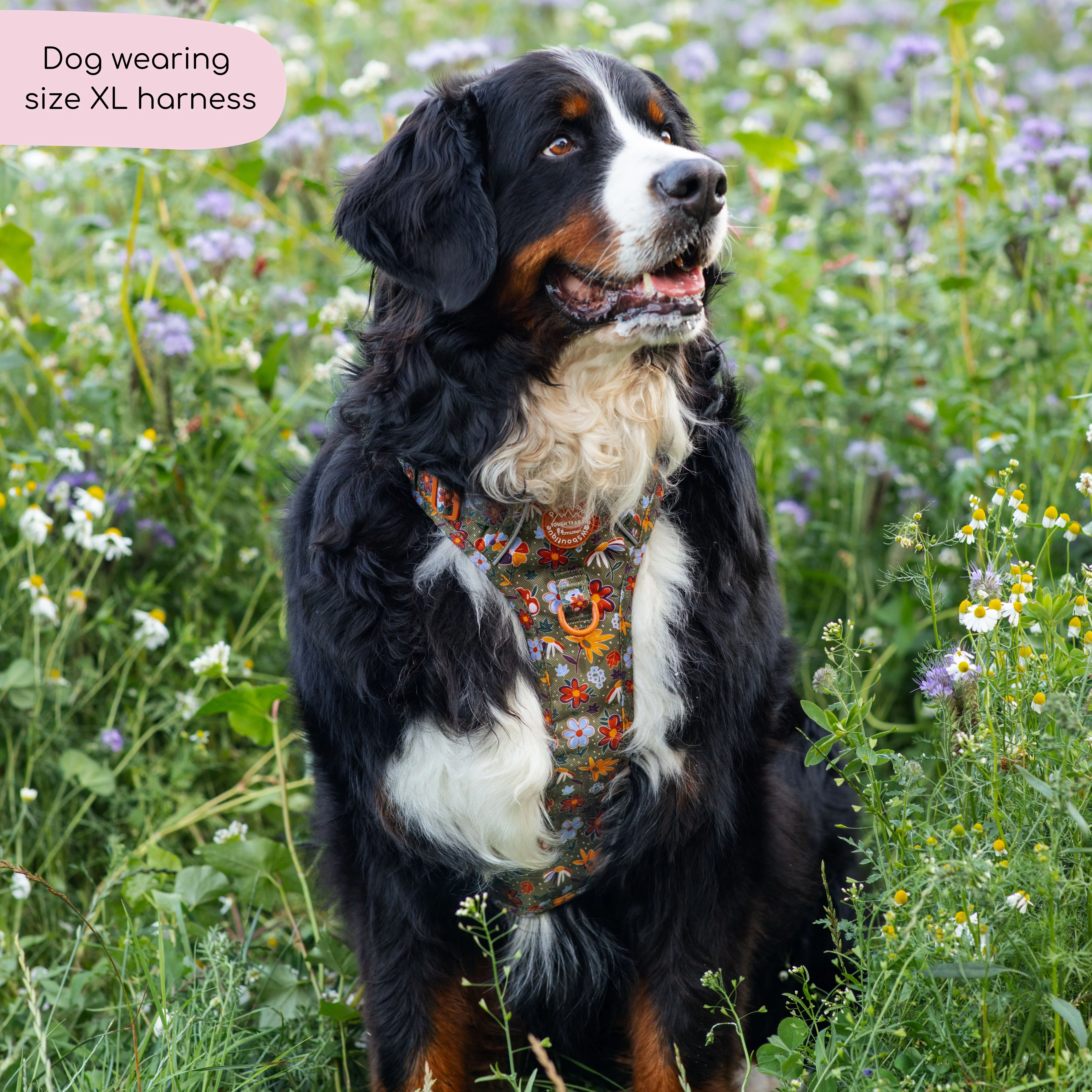 Tough Trails™ Harness - Rust & Bloom - Image 9
