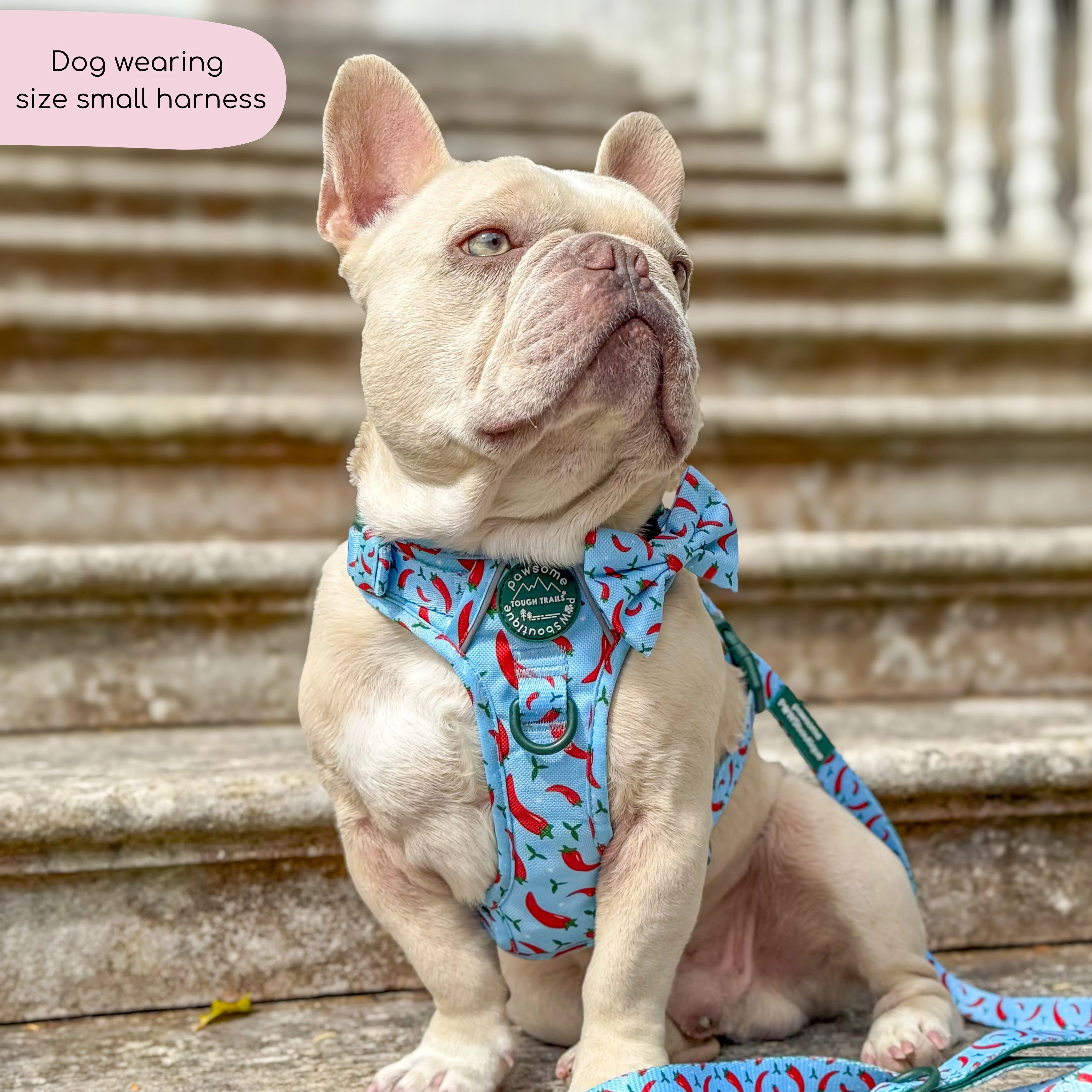 Tough Trails™ Harness - Stay Spicy - Image 7