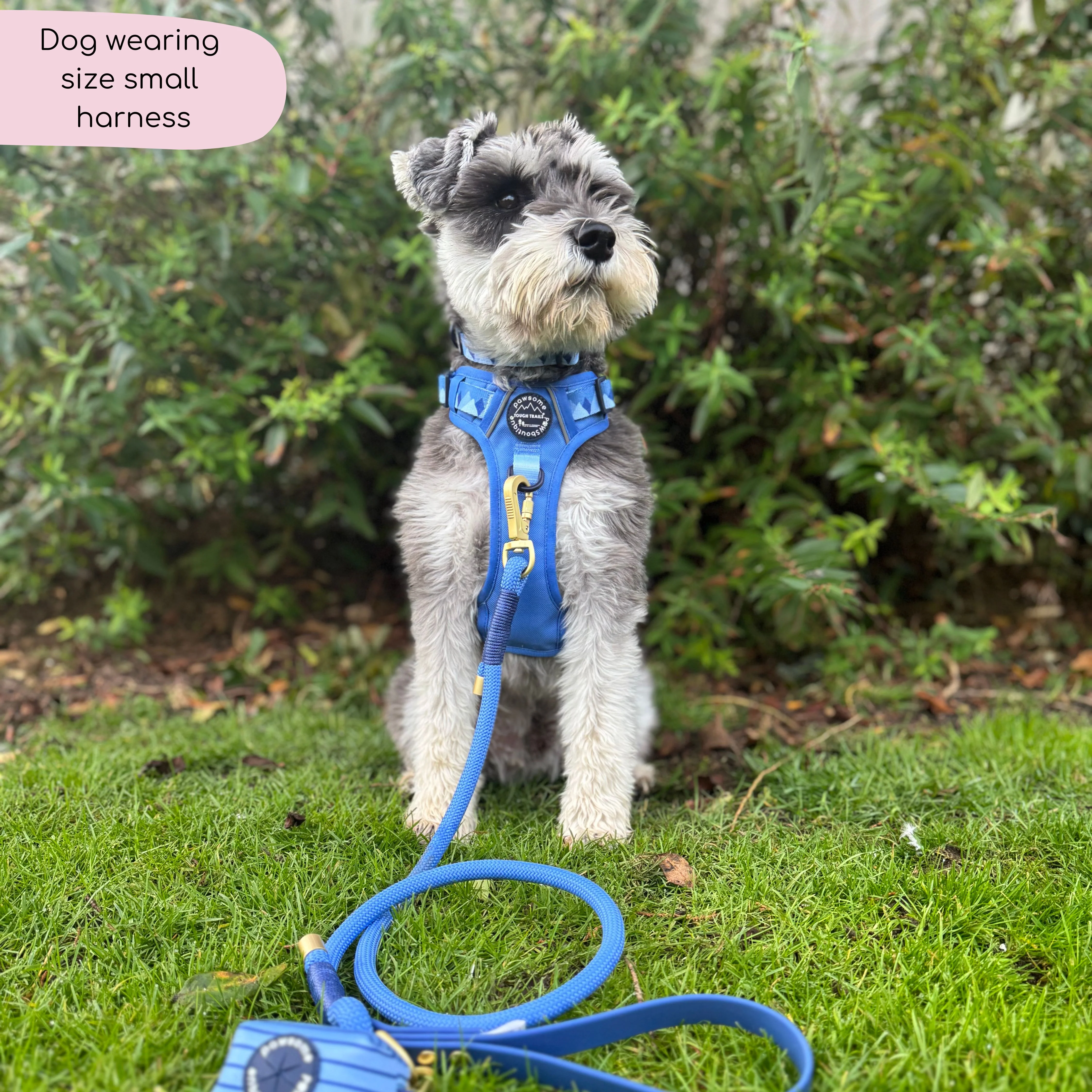 Tough Trails™ Harness - Walkies Ready® Cornflower Blue - Image 13