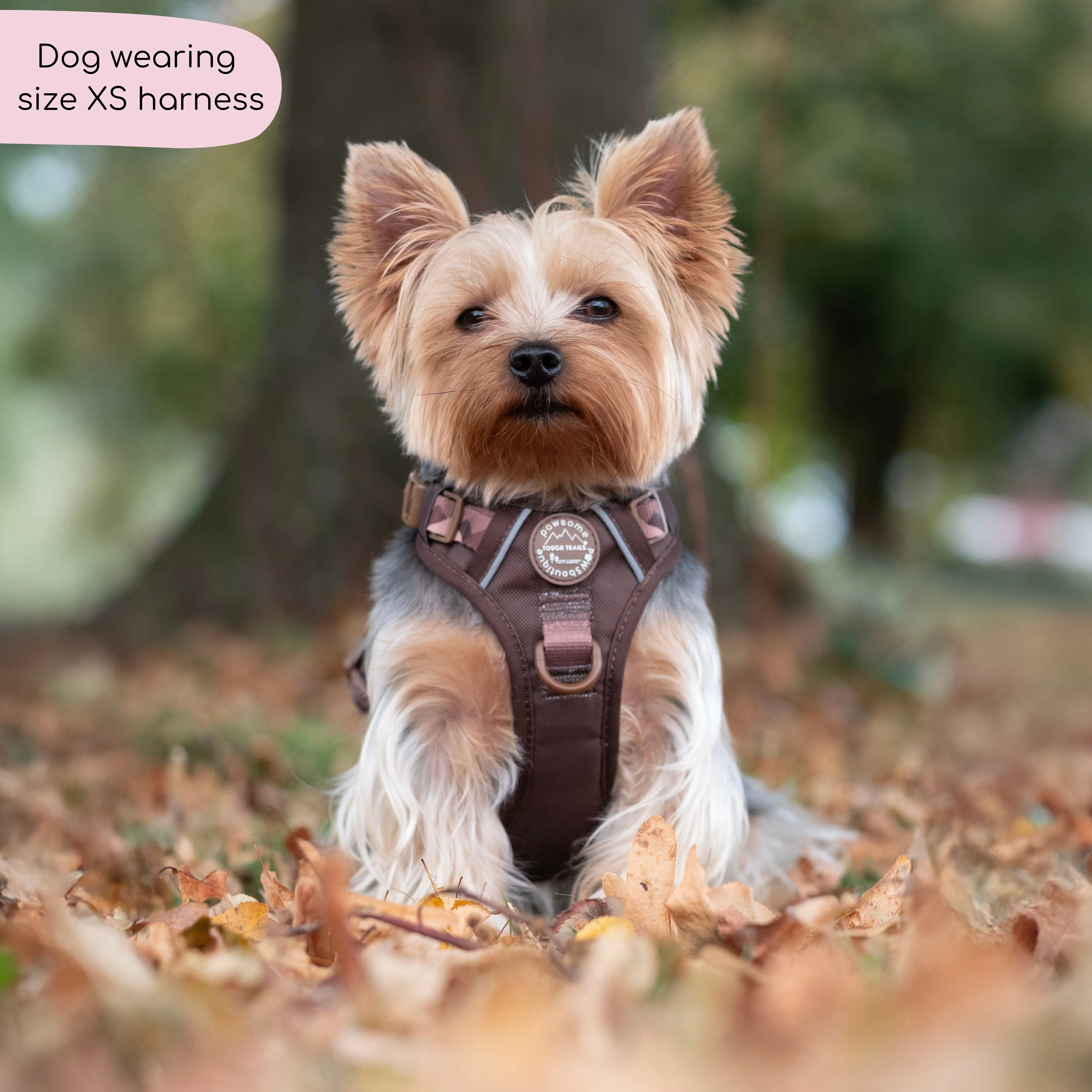 Tough Trails™ Harness - Walkies Ready® Chocolate Brown - Image 17