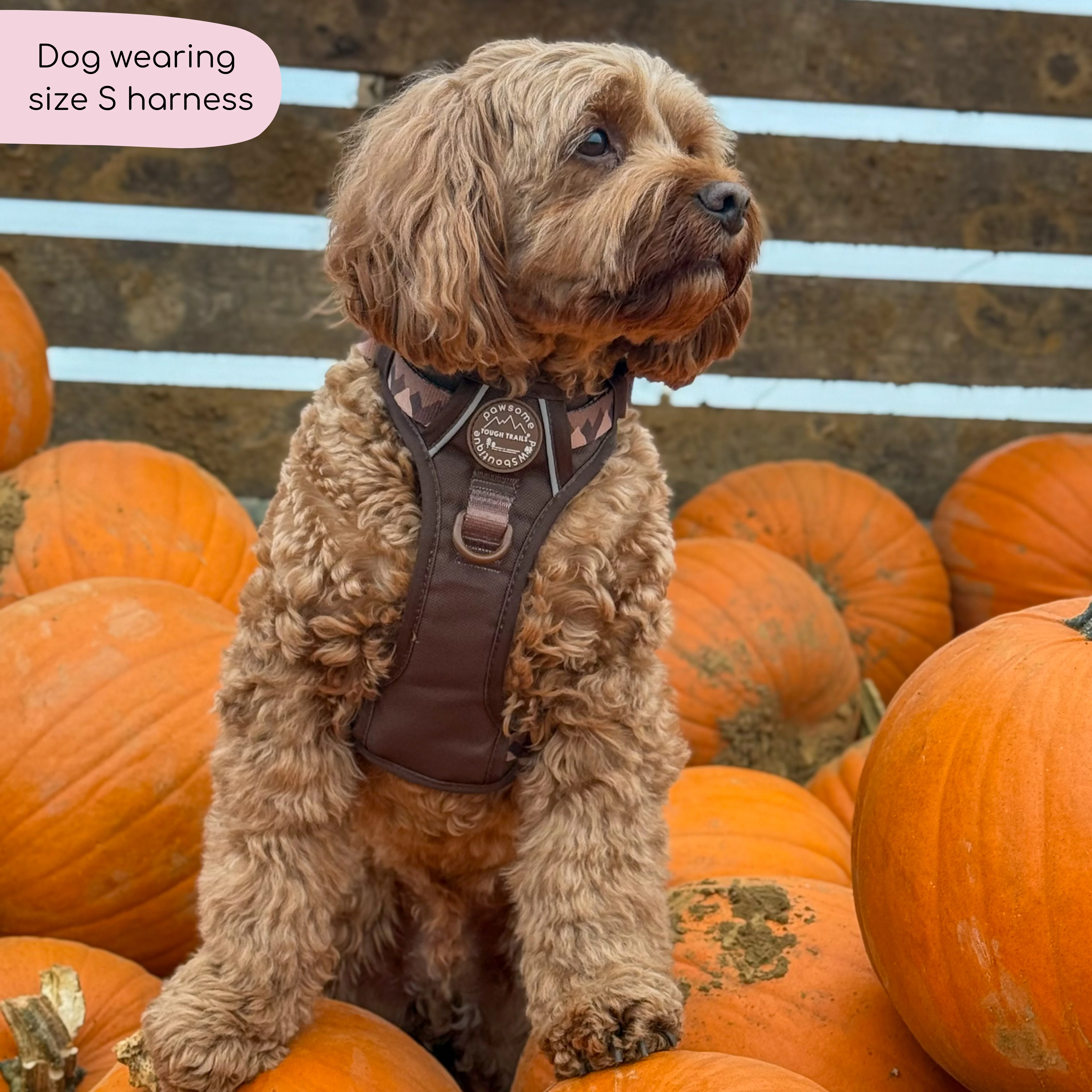 Tough Trails™ Harness - Walkies Ready® Chocolate Brown - Image 24
