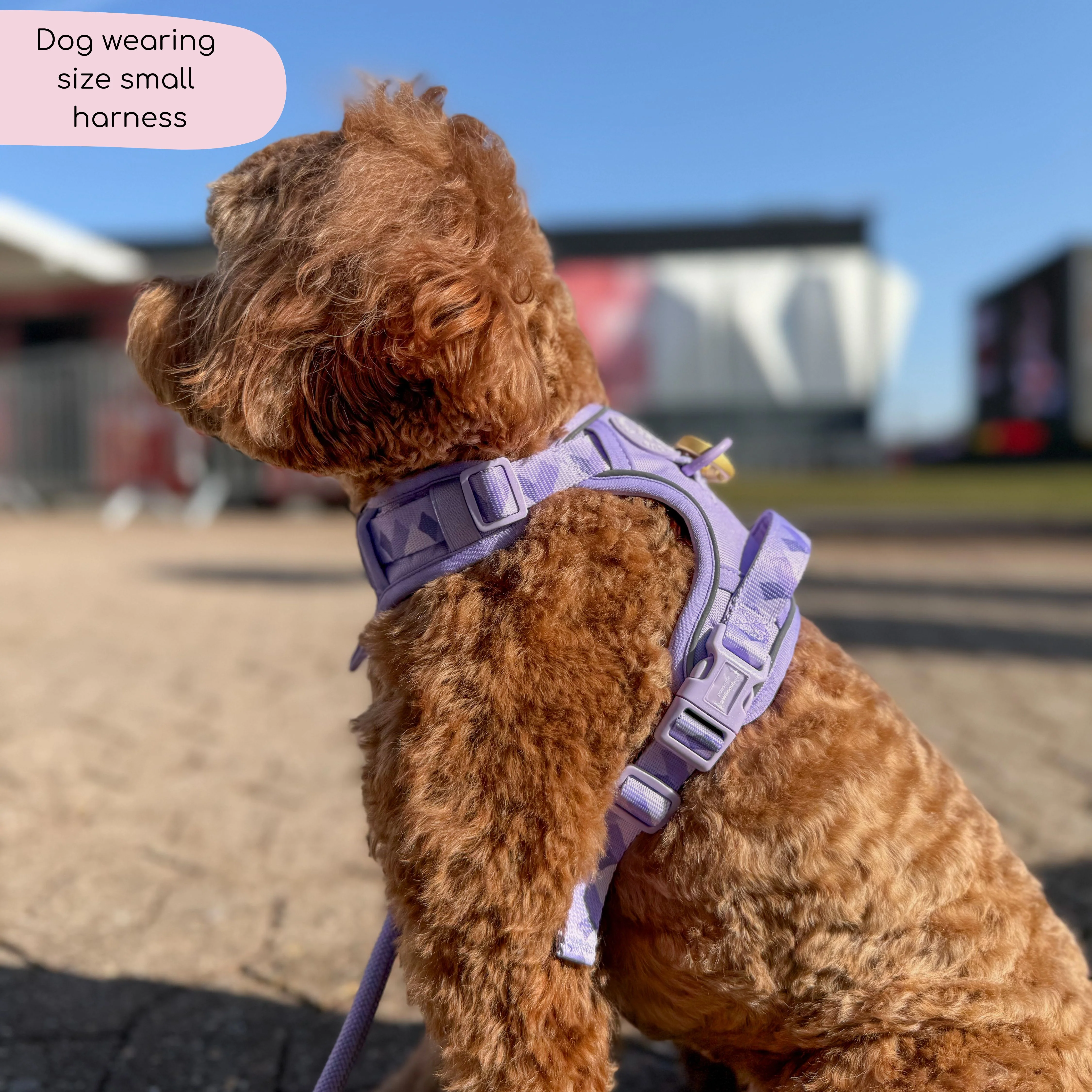 Tough Trails™ Harness - Walkies Ready® Lavender Lilac - Image 13