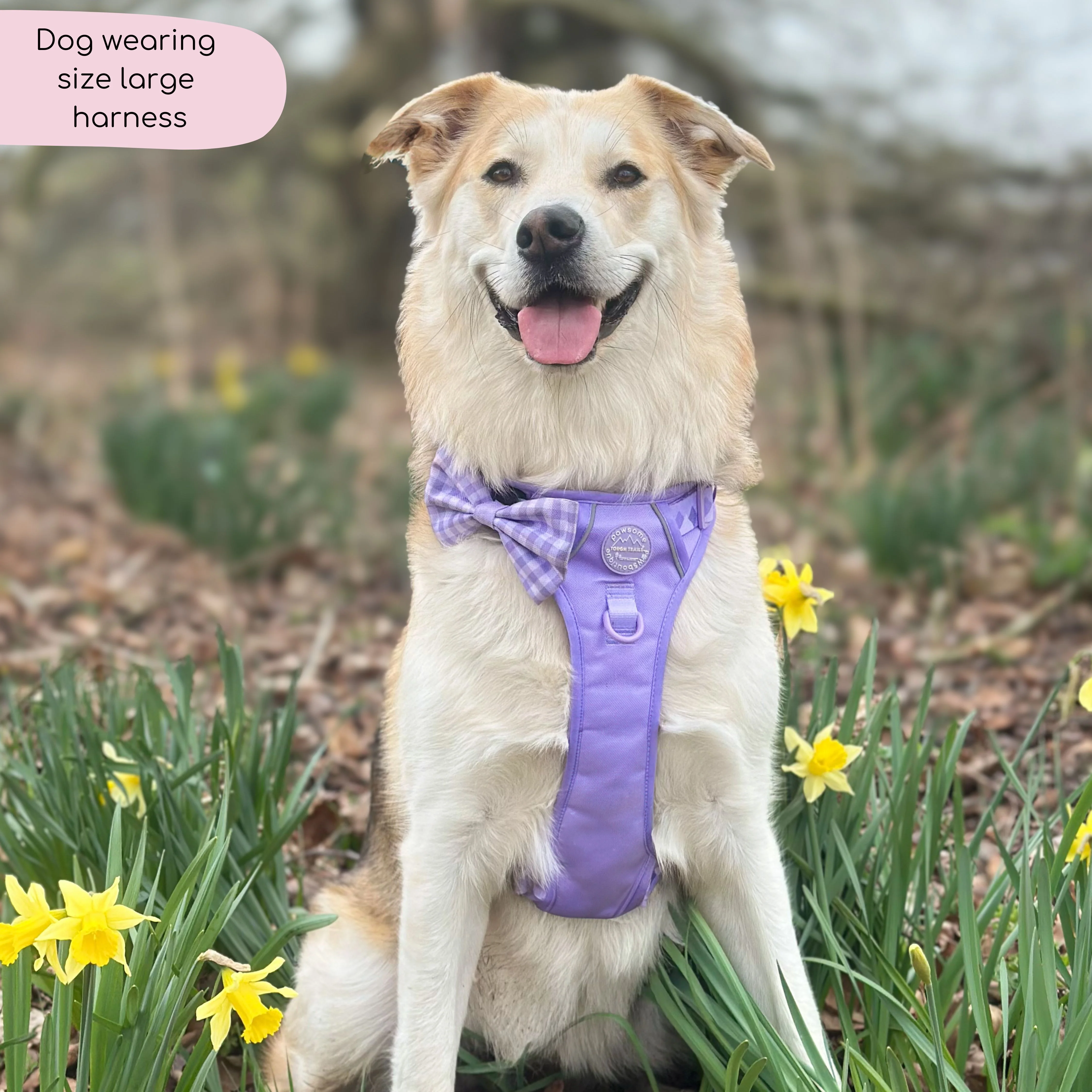 Tough Trails™ Harness - Walkies Ready® Lavender Lilac - Image 7