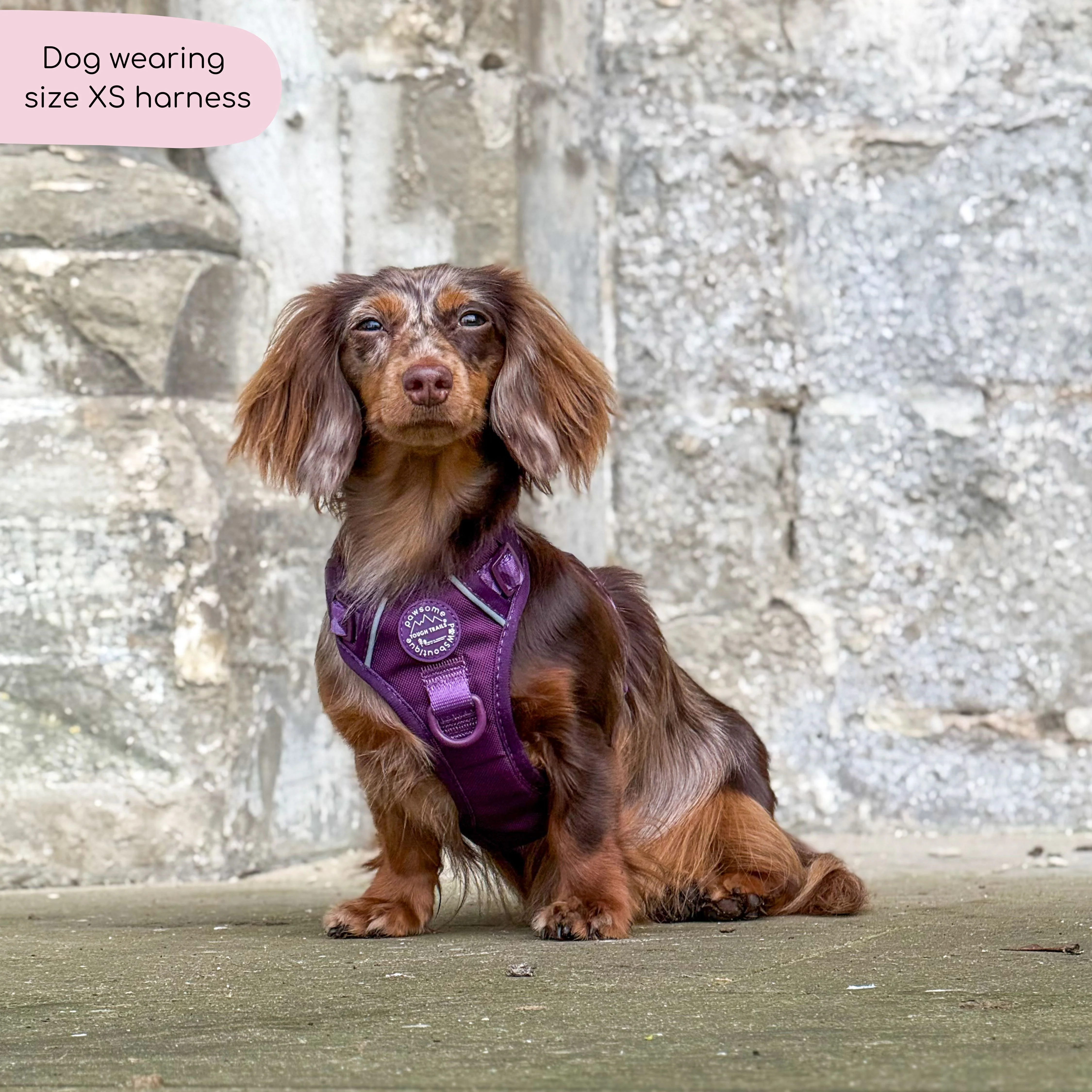 Tough Trails™ Harness - Walkies Ready® Plum - Image 14