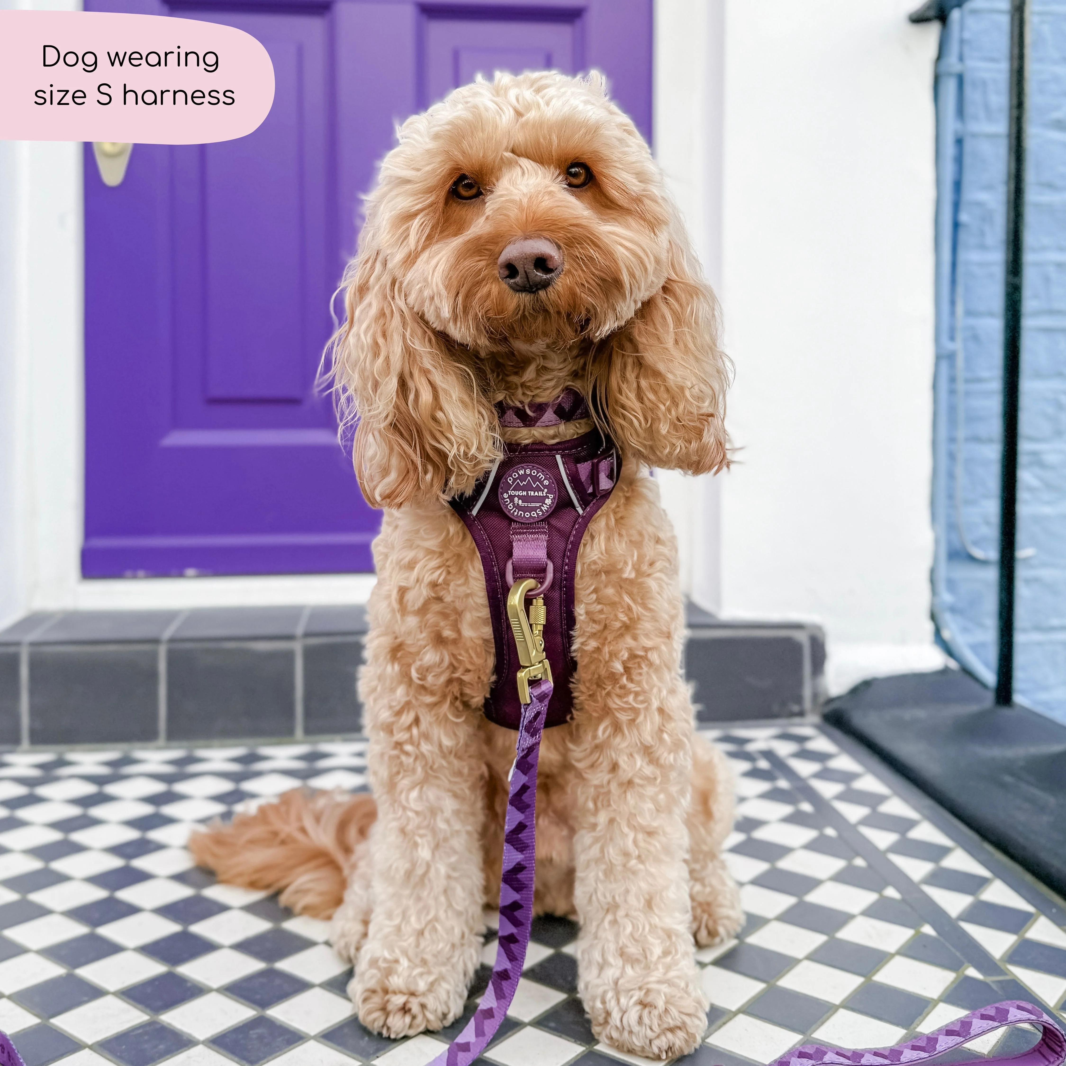 Tough Trails™ Harness - Walkies Ready® Plum - Image 24