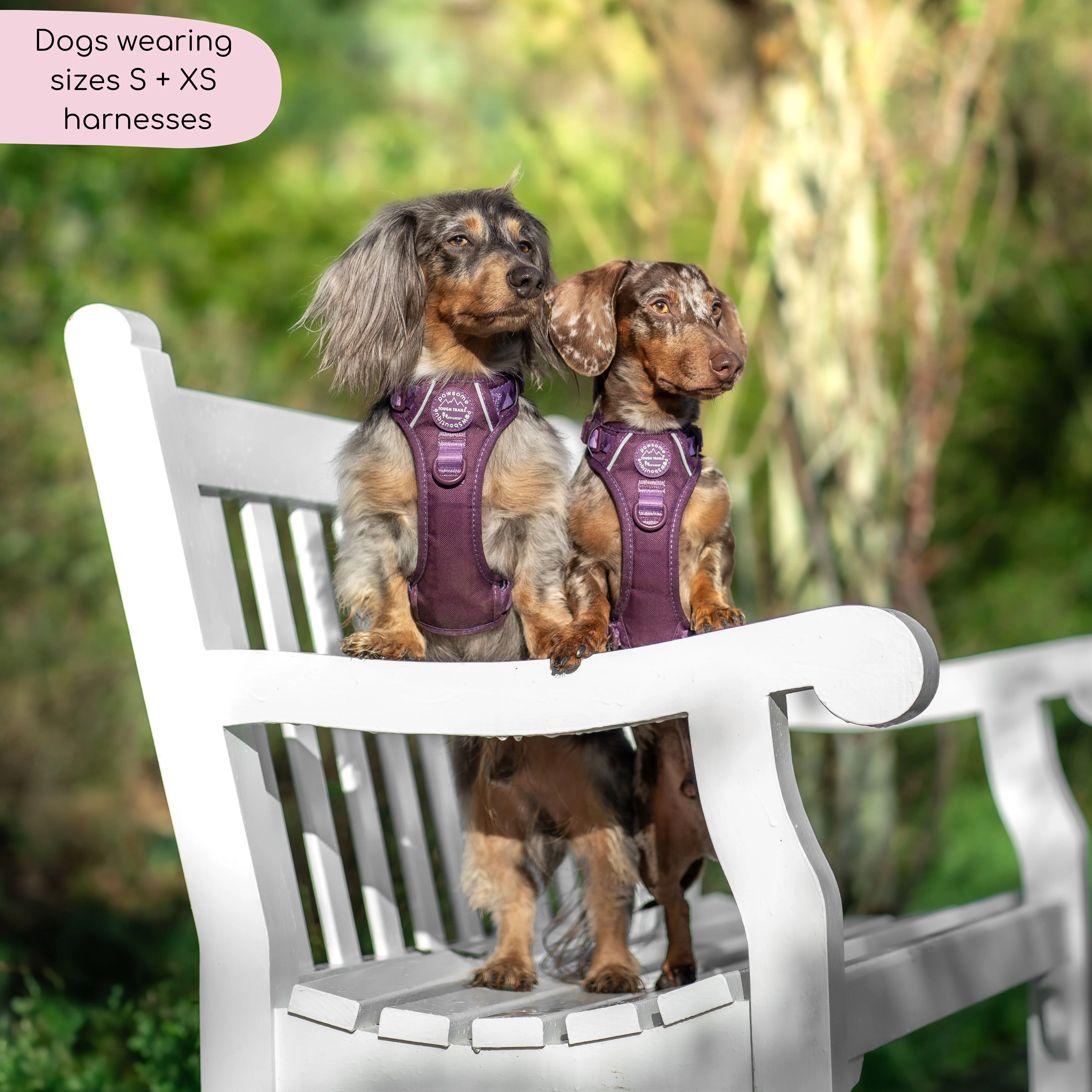 Tough Trails™ Harness - Walkies Ready® Plum - Image 5