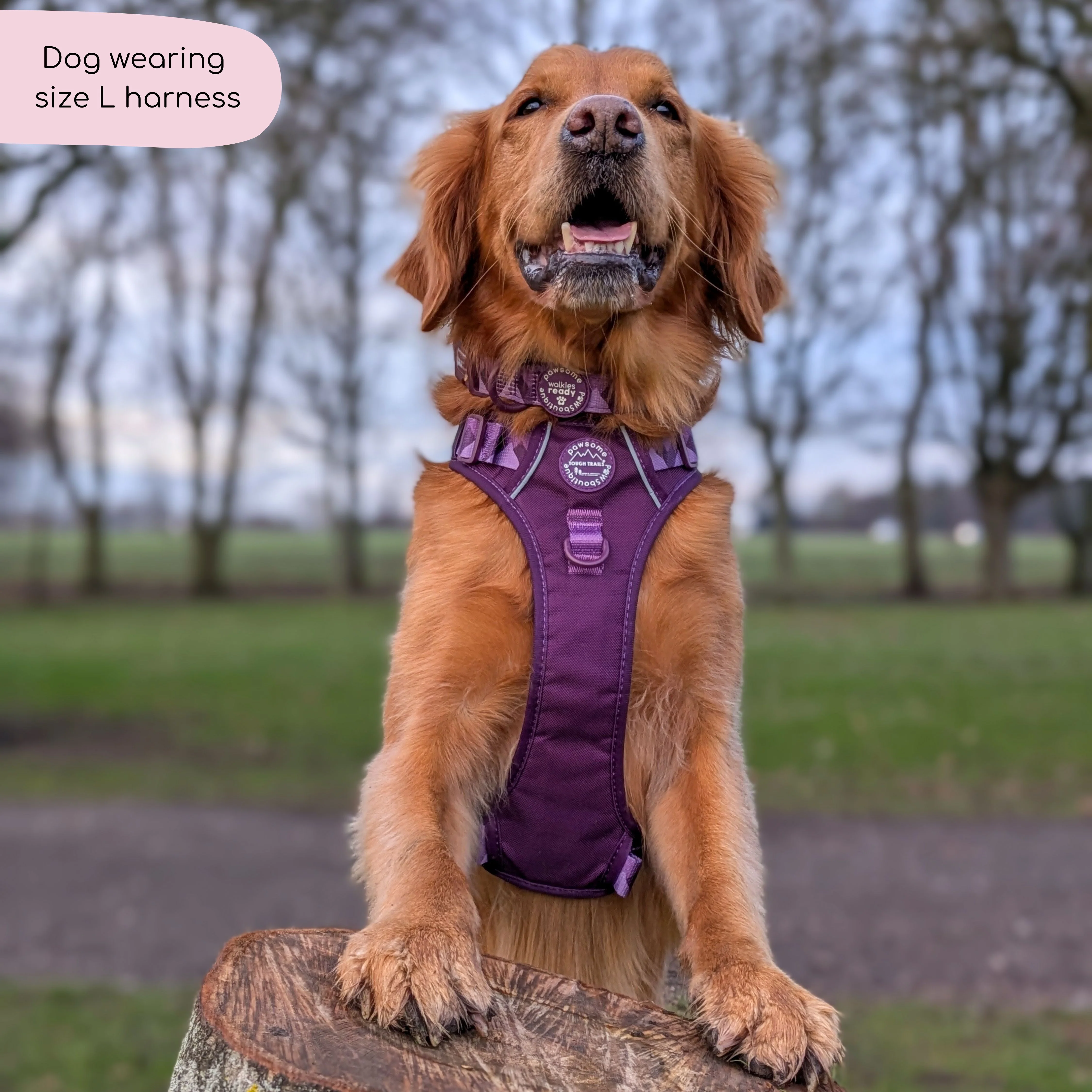 Tough Trails™ Harness - Walkies Ready® Plum - Image 6