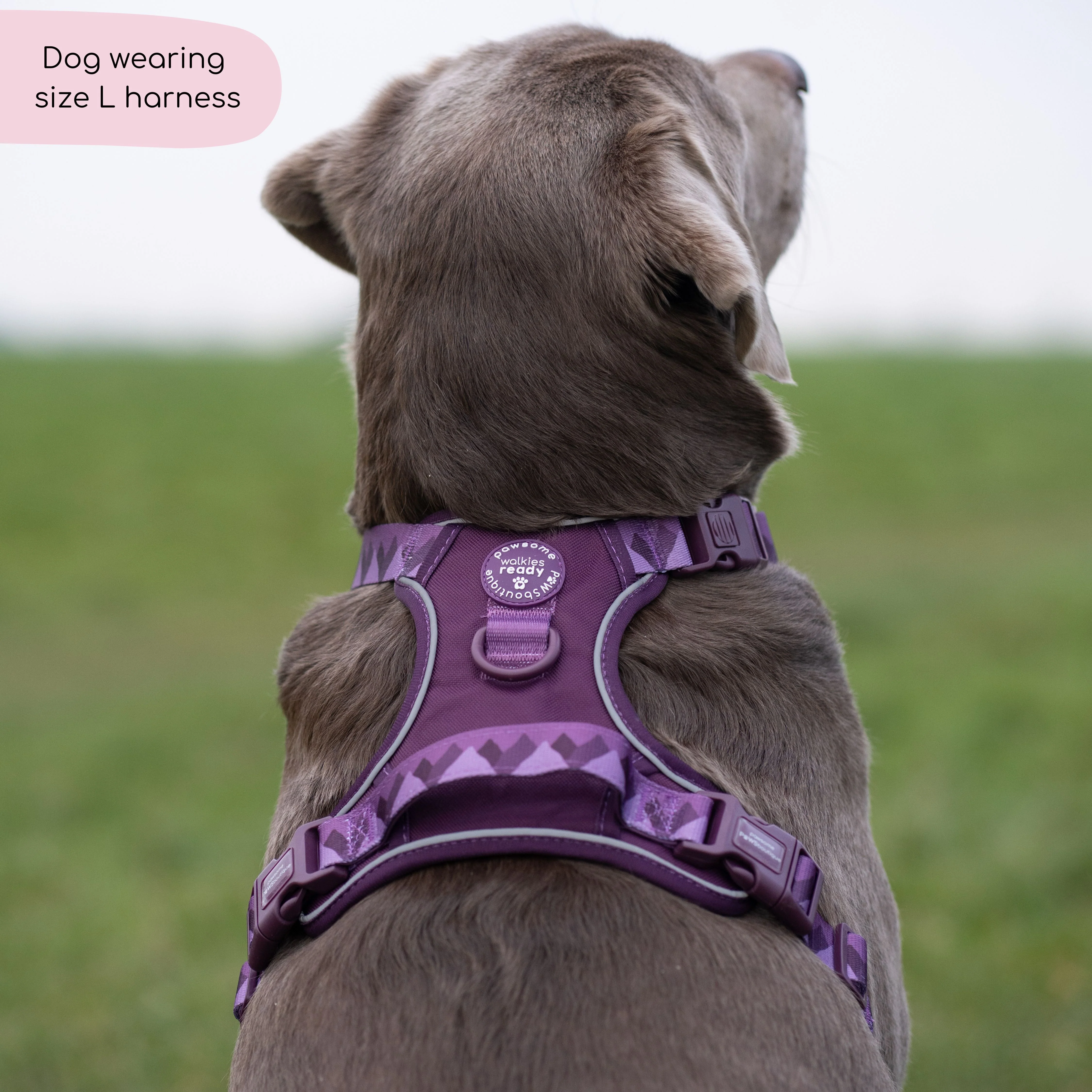 Tough Trails™ Harness - Walkies Ready® Plum - Image 7