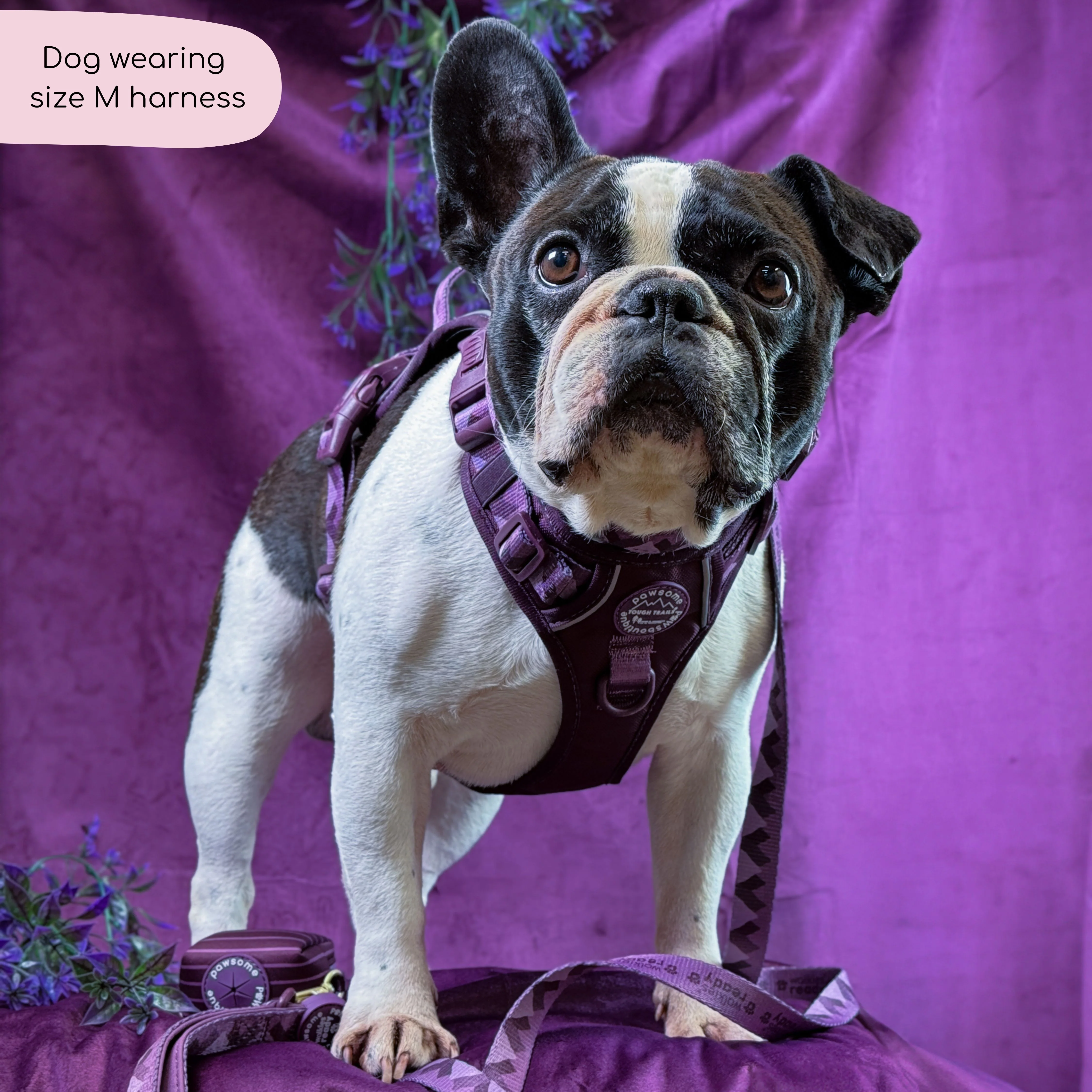 Tough Trails™ Harness - Walkies Ready® Plum - Image 9