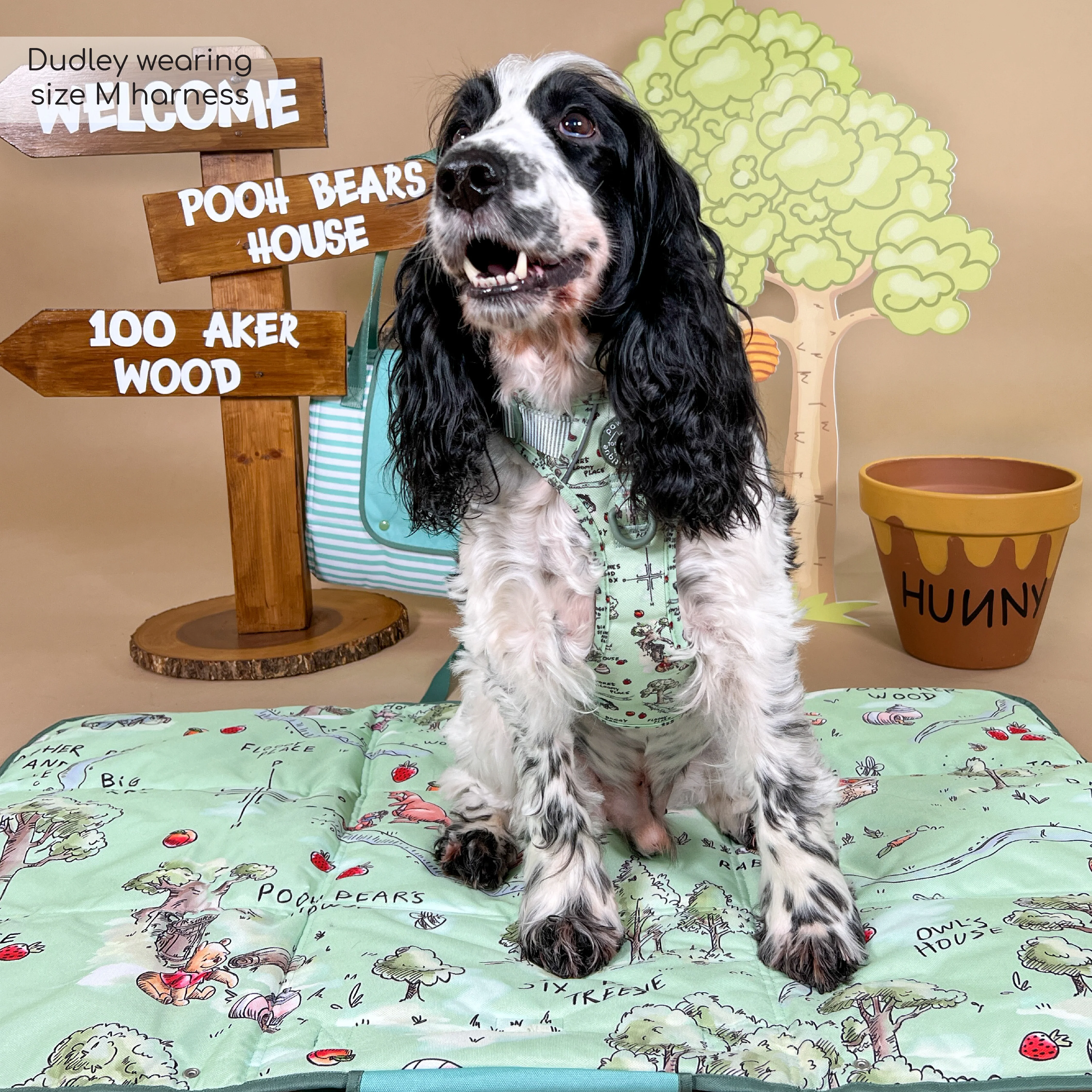 Disney© Tough Trails™ Harness - 100 Aker Wood - Image 24