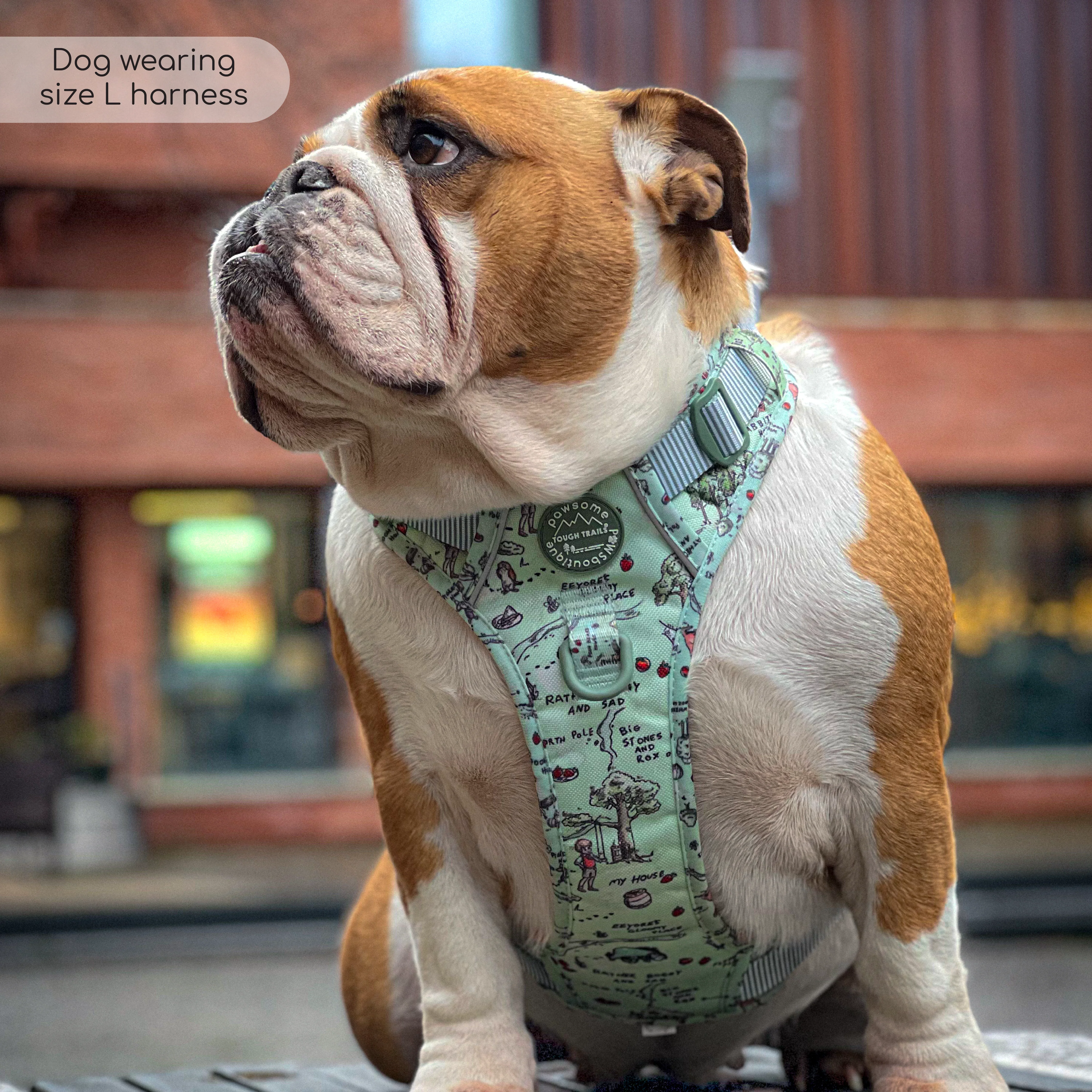 Disney© Tough Trails™ Harness - 100 Aker Wood - Image 25