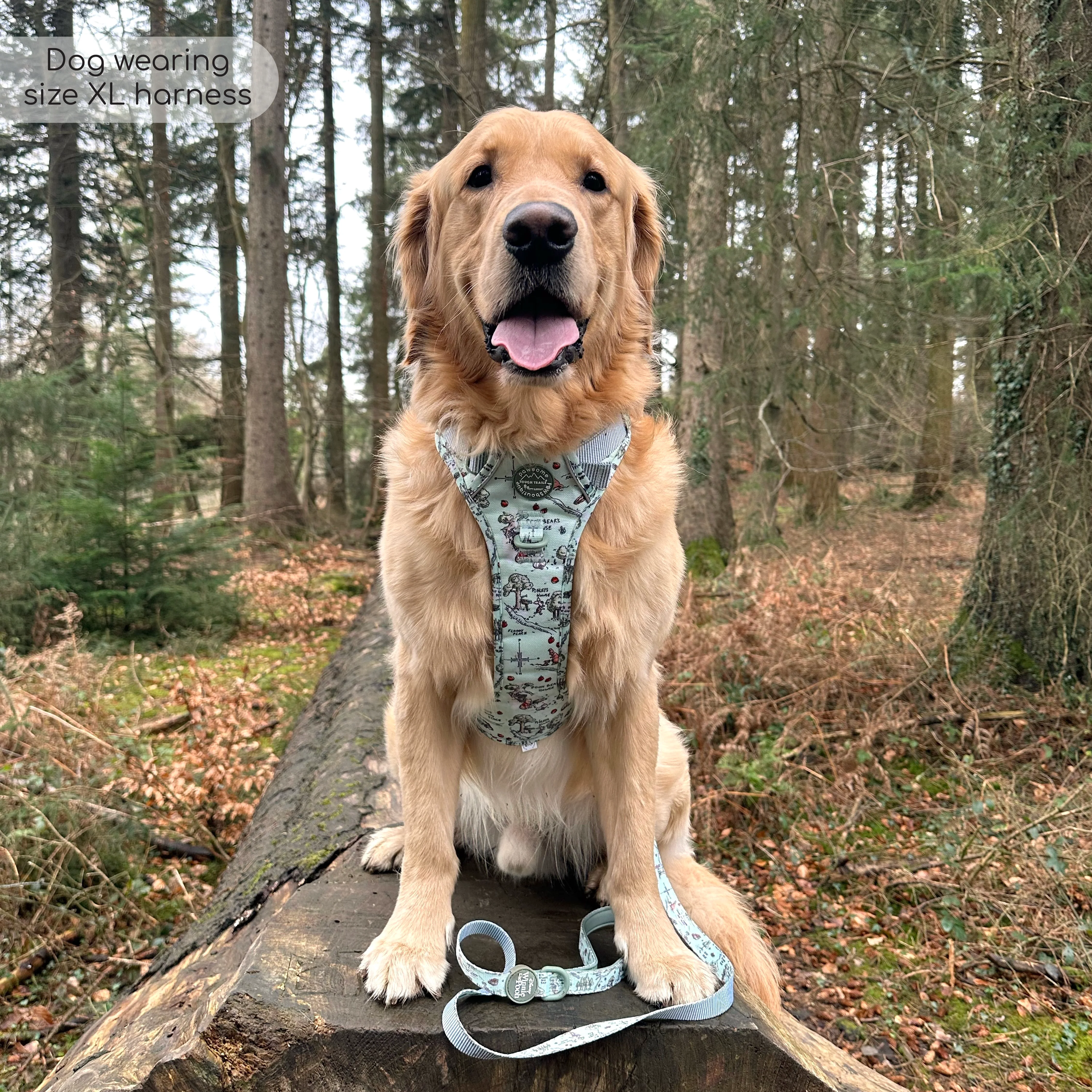 Disney© Tough Trails™ Harness - 100 Aker Wood - Image 32