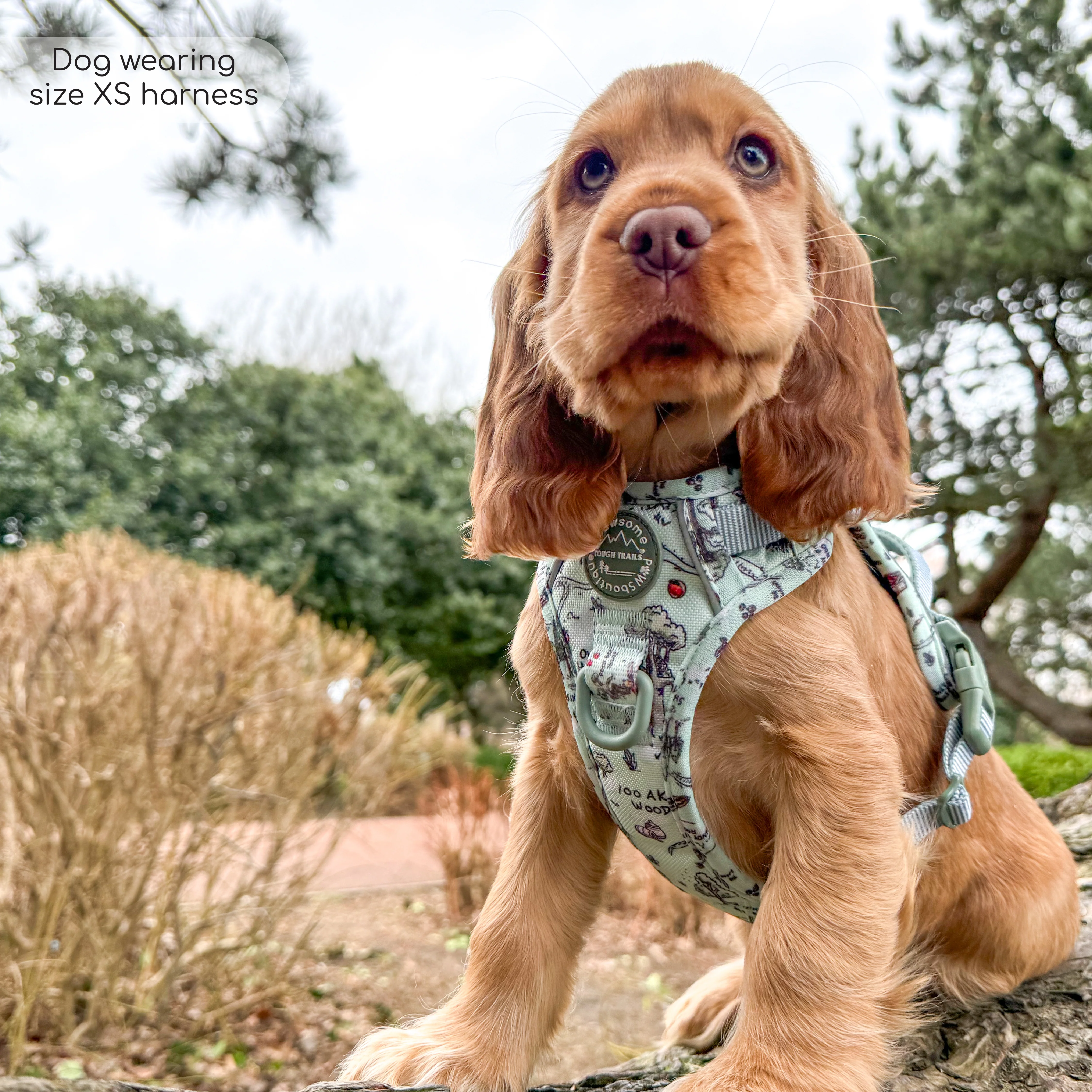 Disney© Tough Trails™ Harness - 100 Aker Wood - Image 39