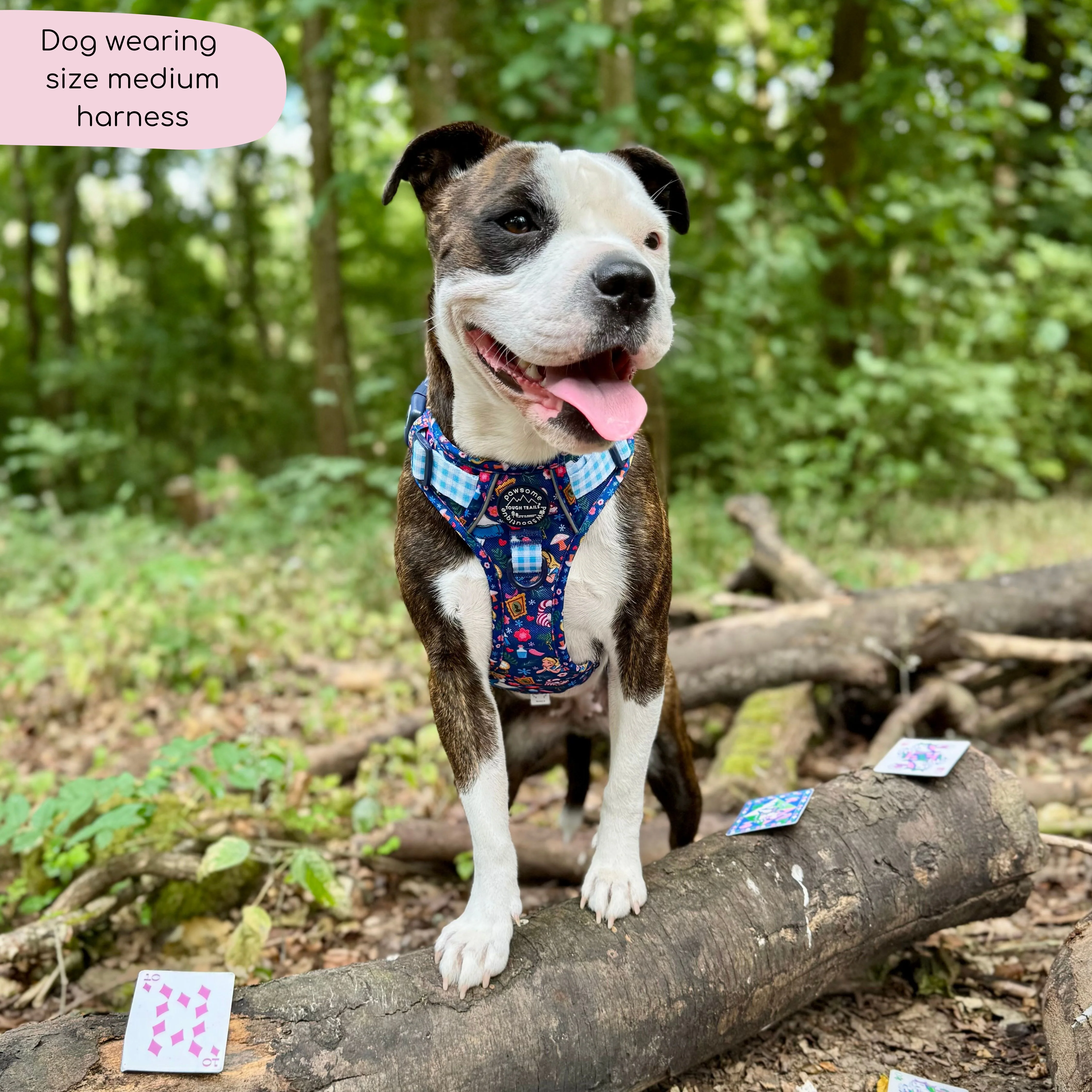 Disney© Tough Trails™ Harness - Alice In Wonderland - Image 19