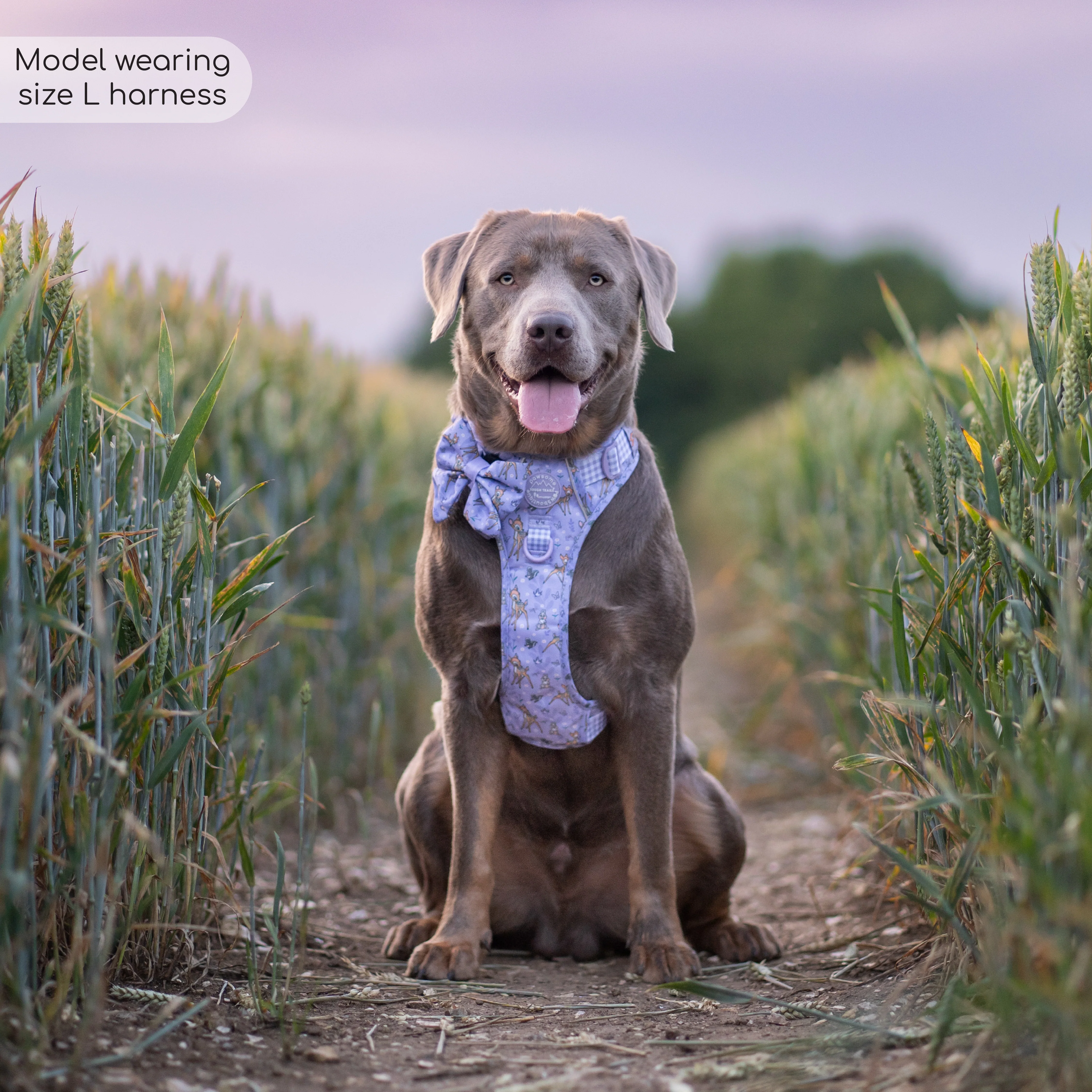 Disney© Tough Trails™ Harness - Bambi + Friends Lilac - Image 5