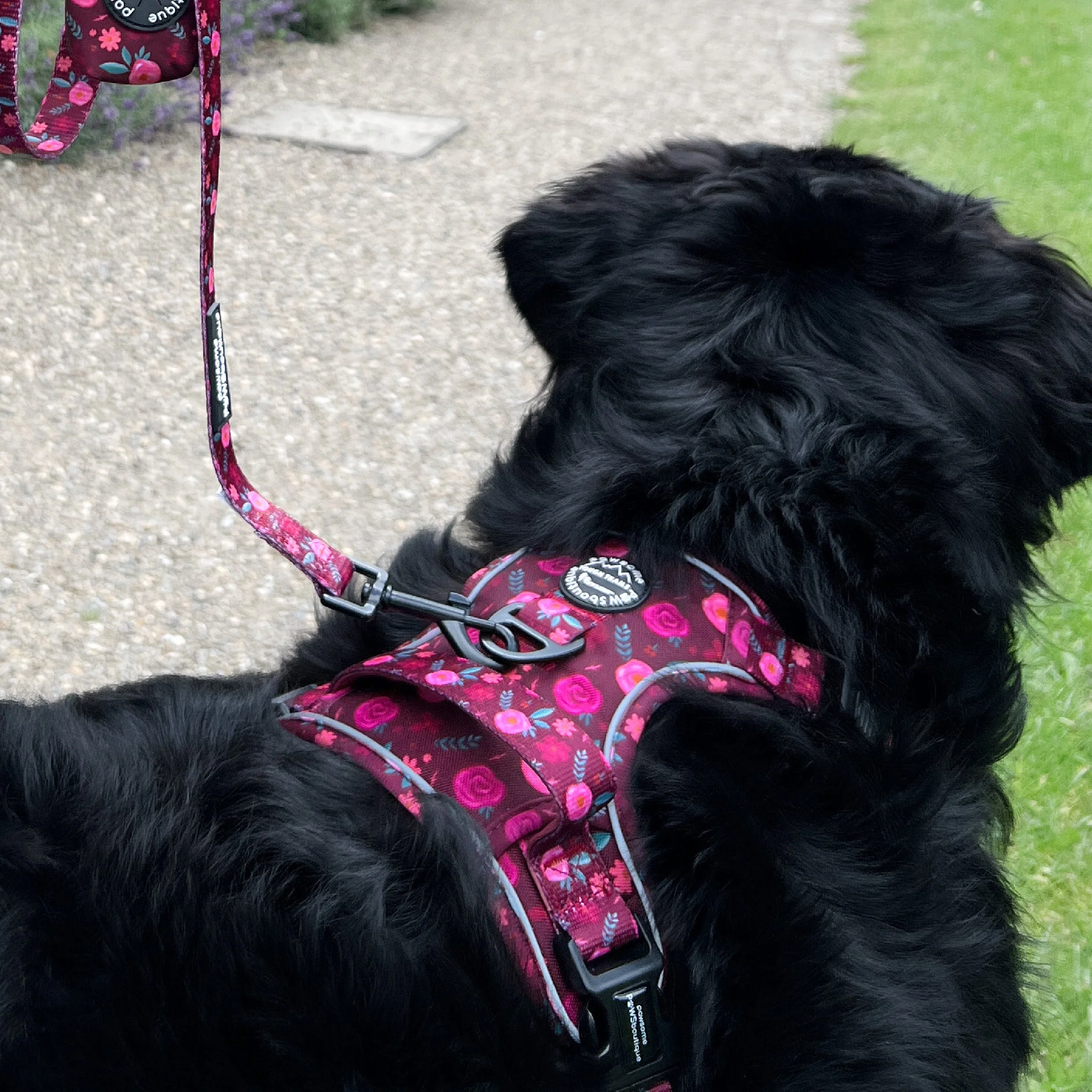 Tough Trails™ Harness - Mable's Meadow - Image 6
