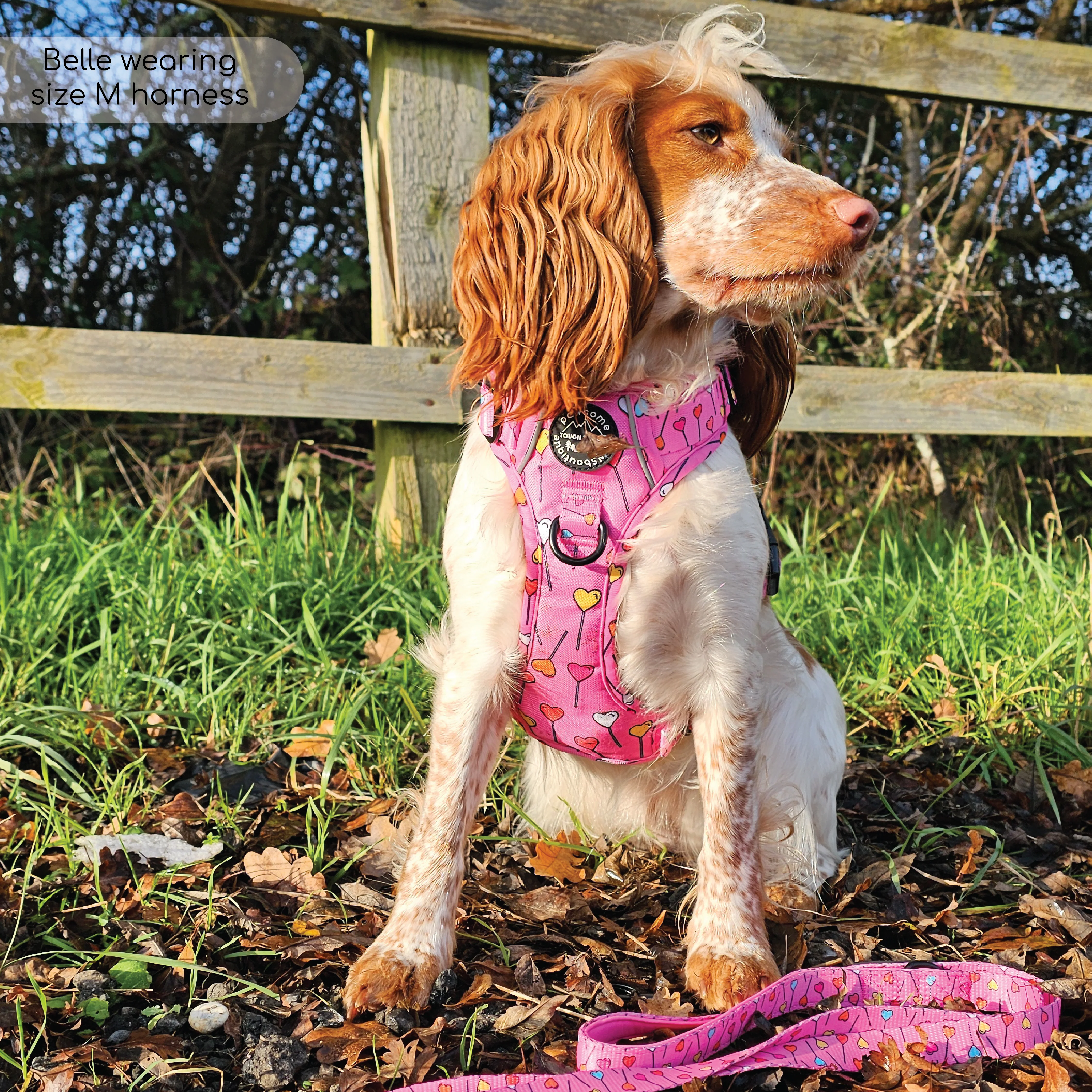 Tough Trails™ Harness - Candypop - Image 22