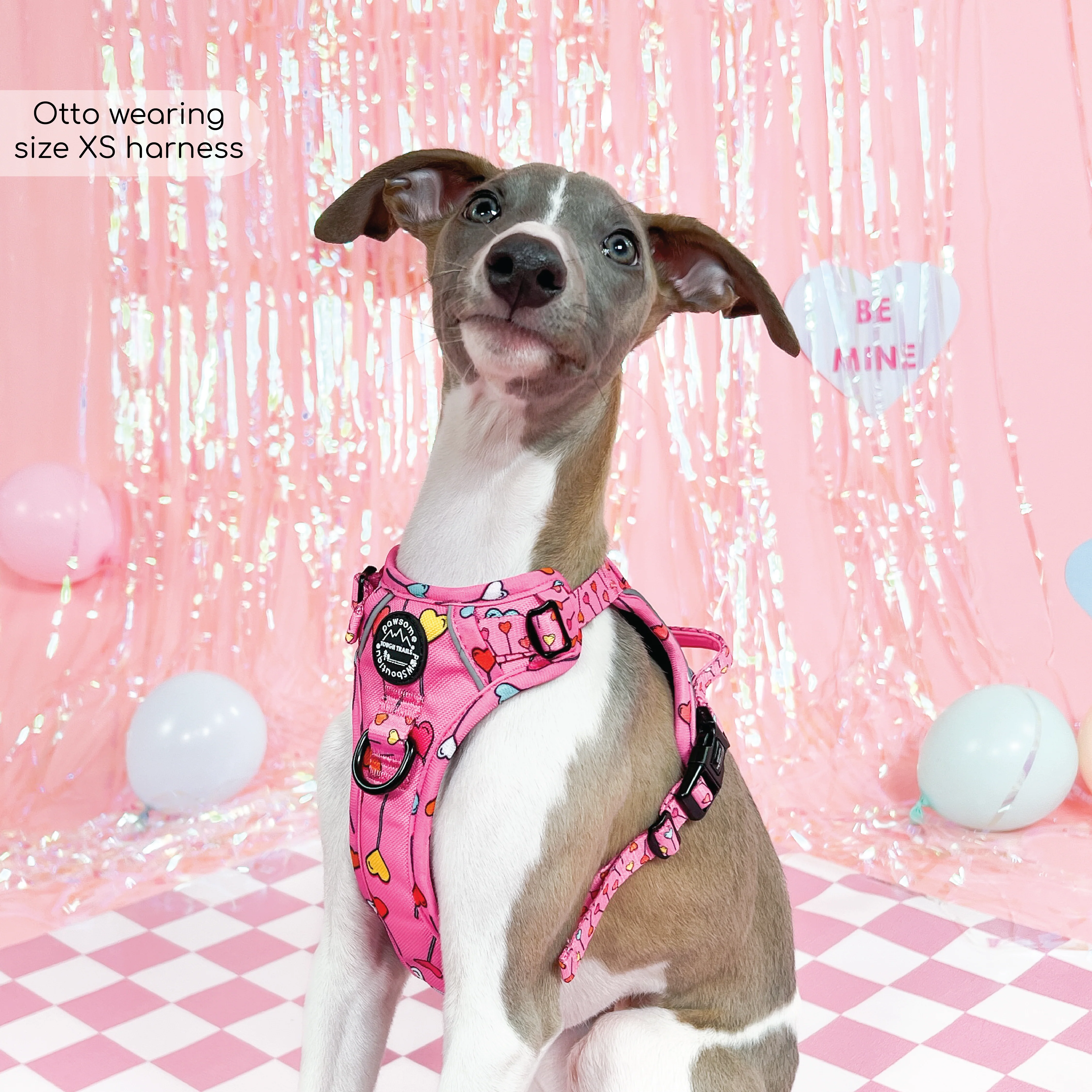 Tough Trails™ Harness - Candypop - Image 4
