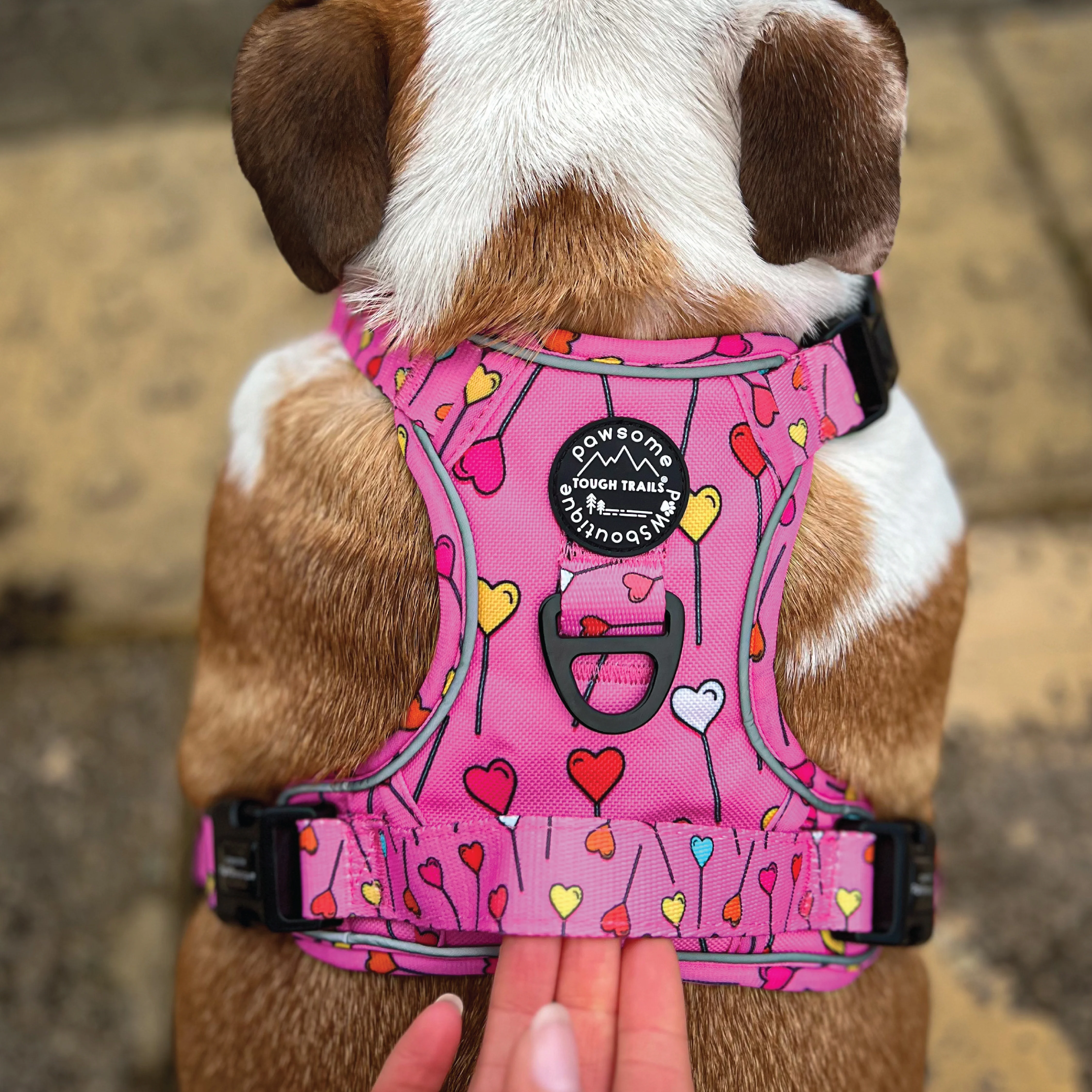 Tough Trails™ Harness - Candypop - Image 9