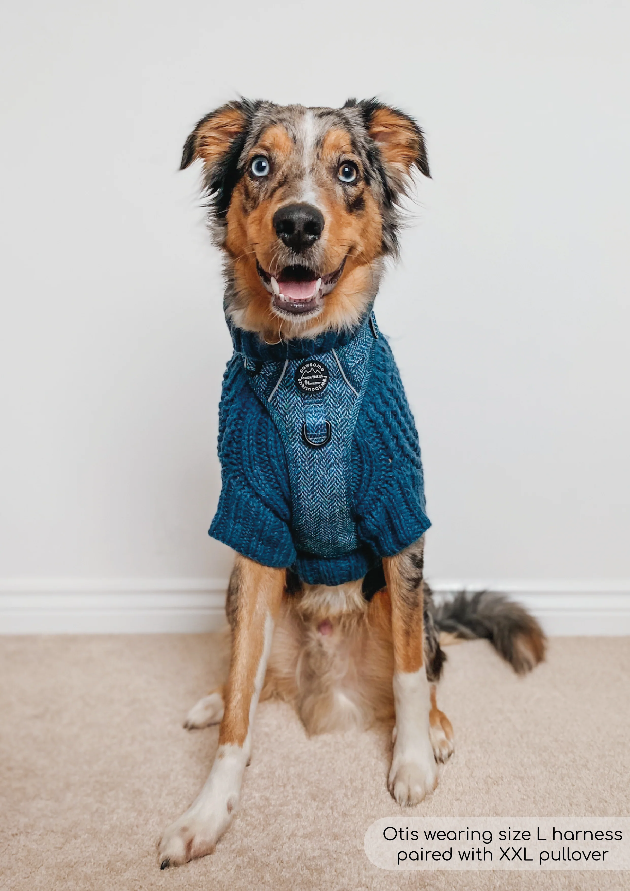 Tough Trails™ Harness - Country Teal - Image 10