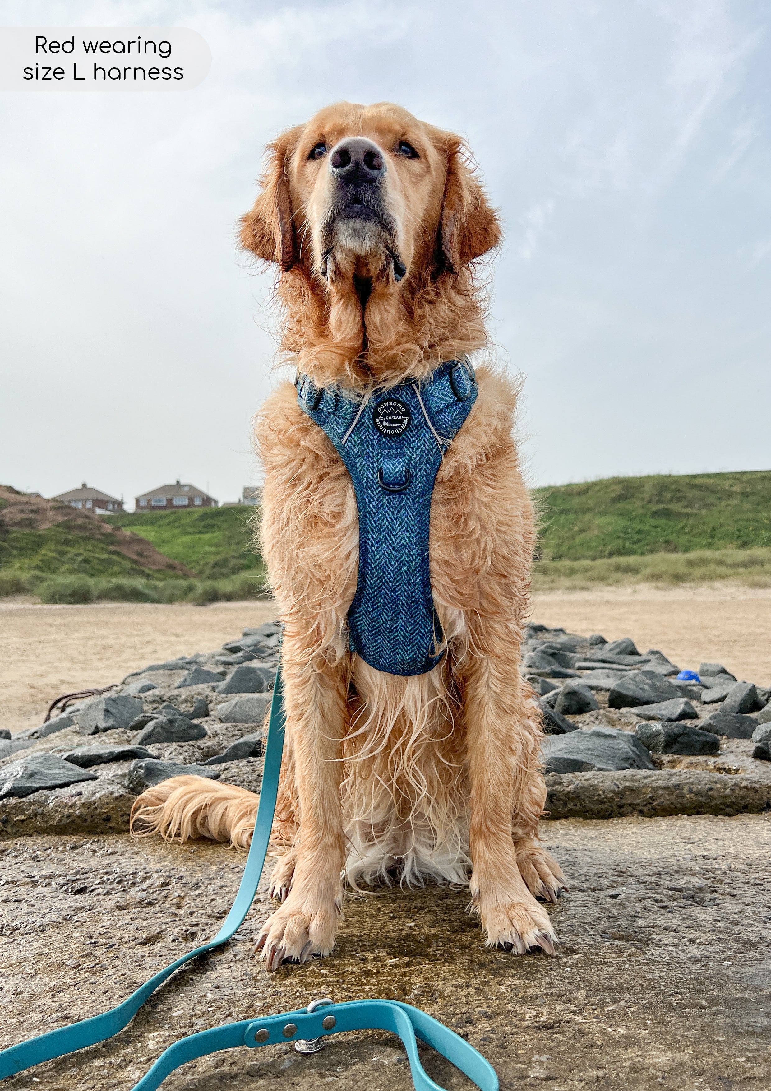 Tough Trails™ Harness - Country Teal - Image 13