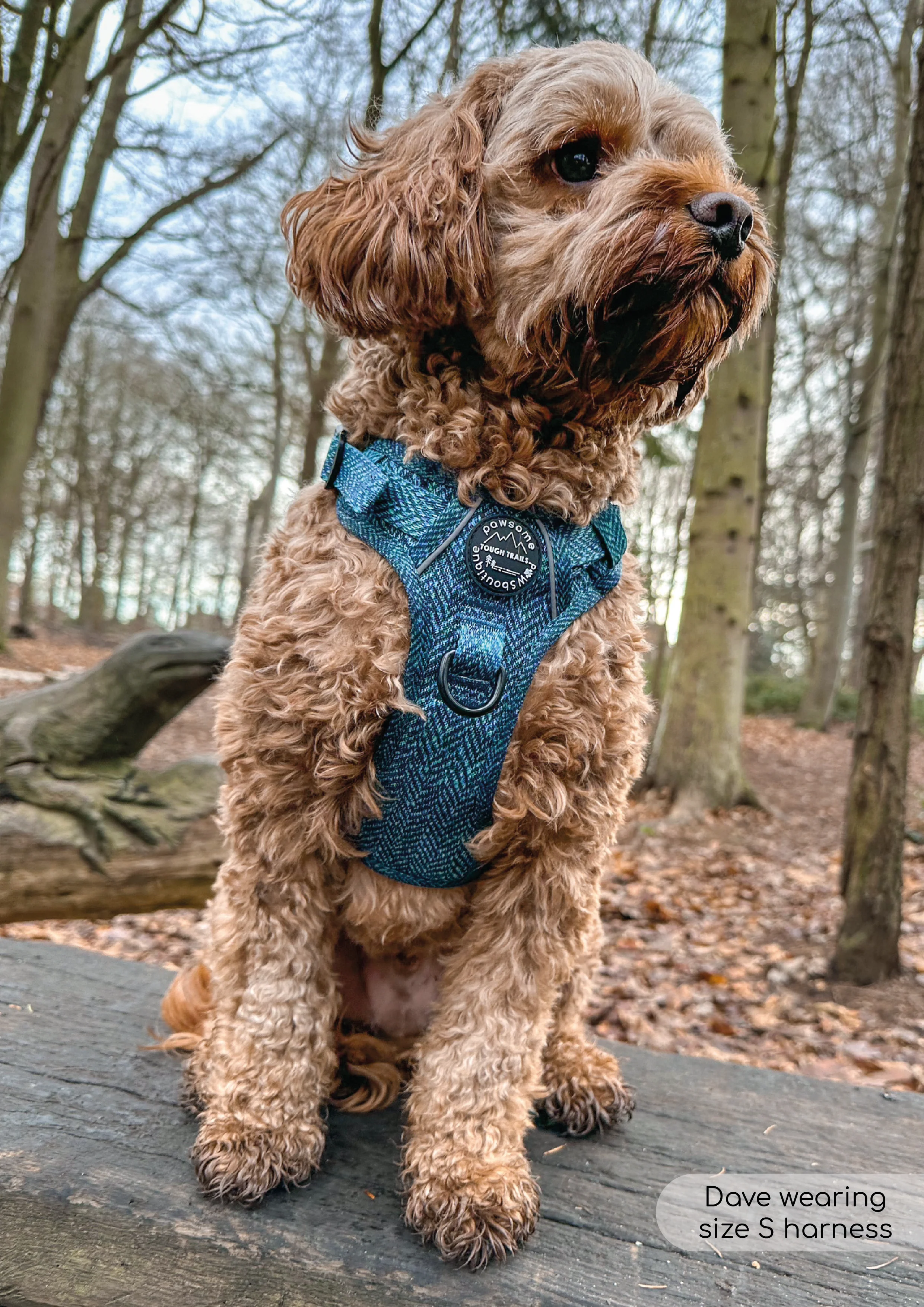 Tough Trails™ Harness - Country Teal - Image 4