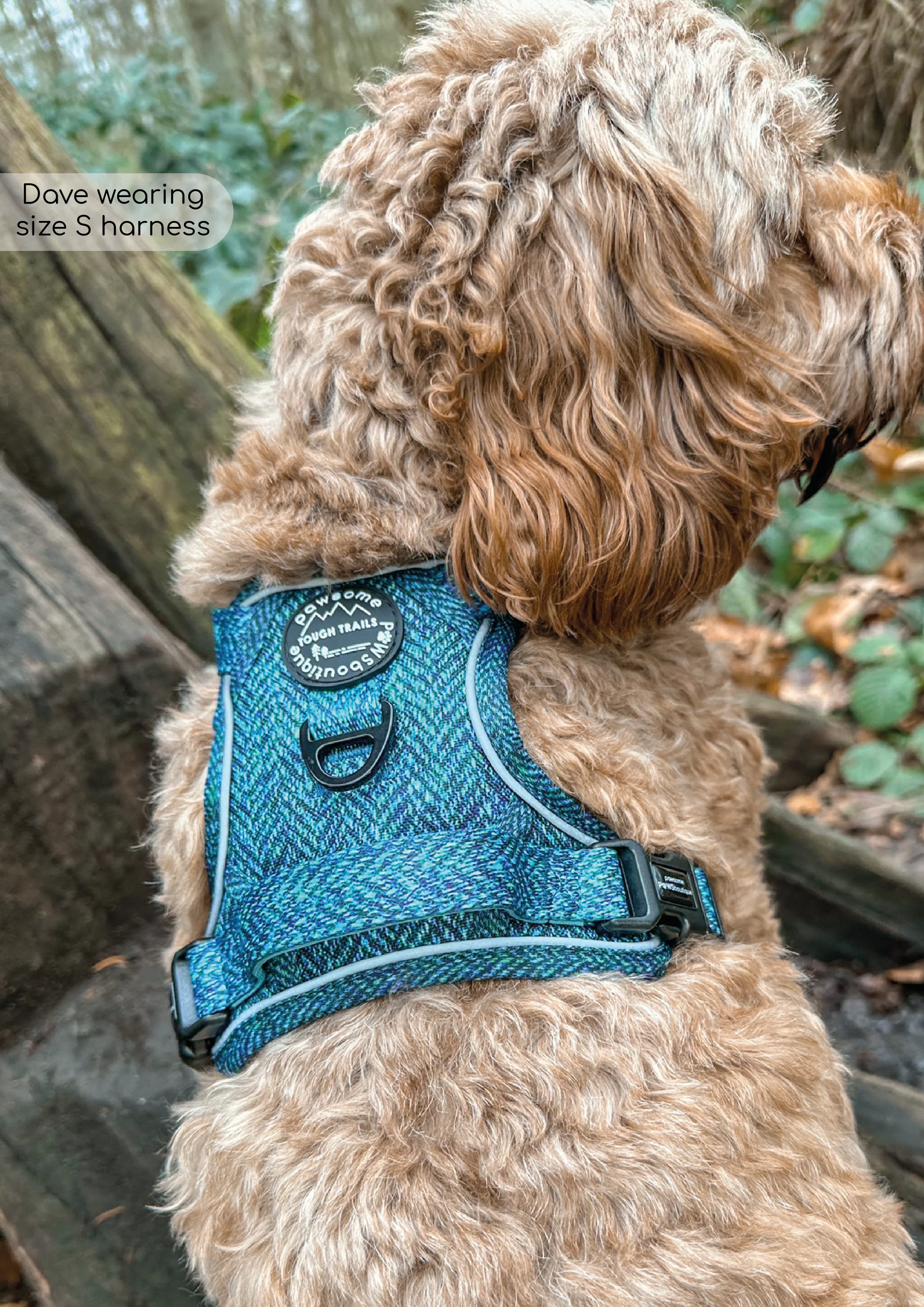 Tough Trails™ Harness - Country Teal - Image 5