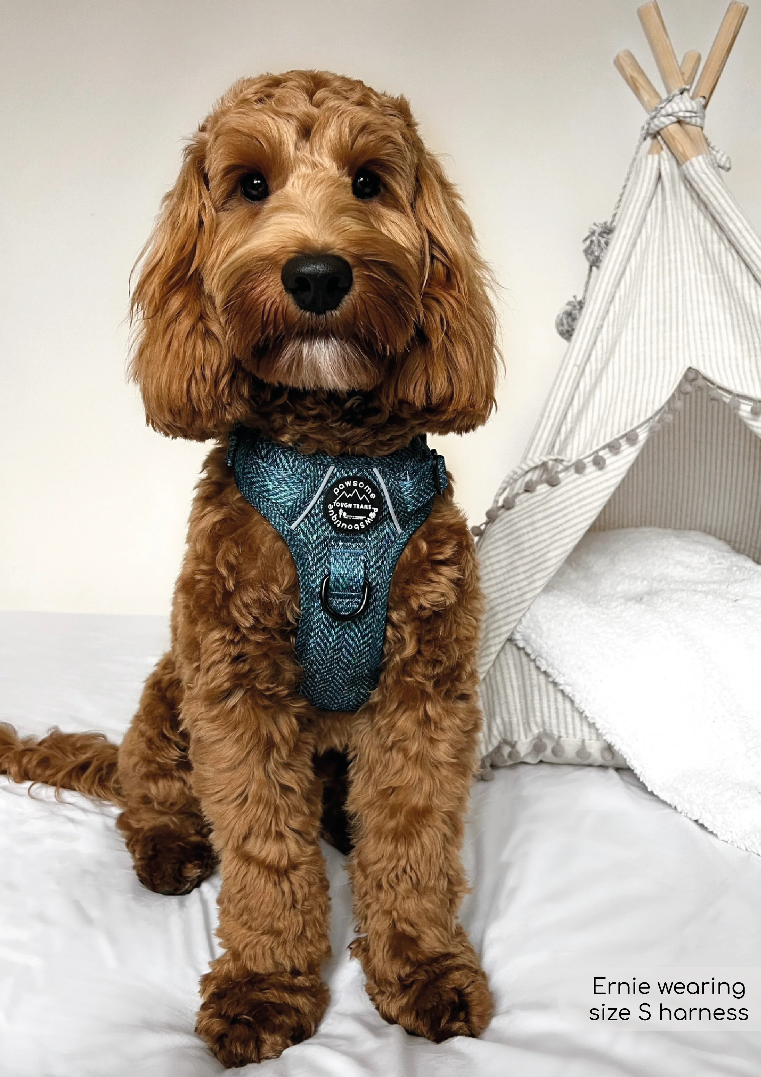Tough Trails™ Harness - Country Teal - Image 7