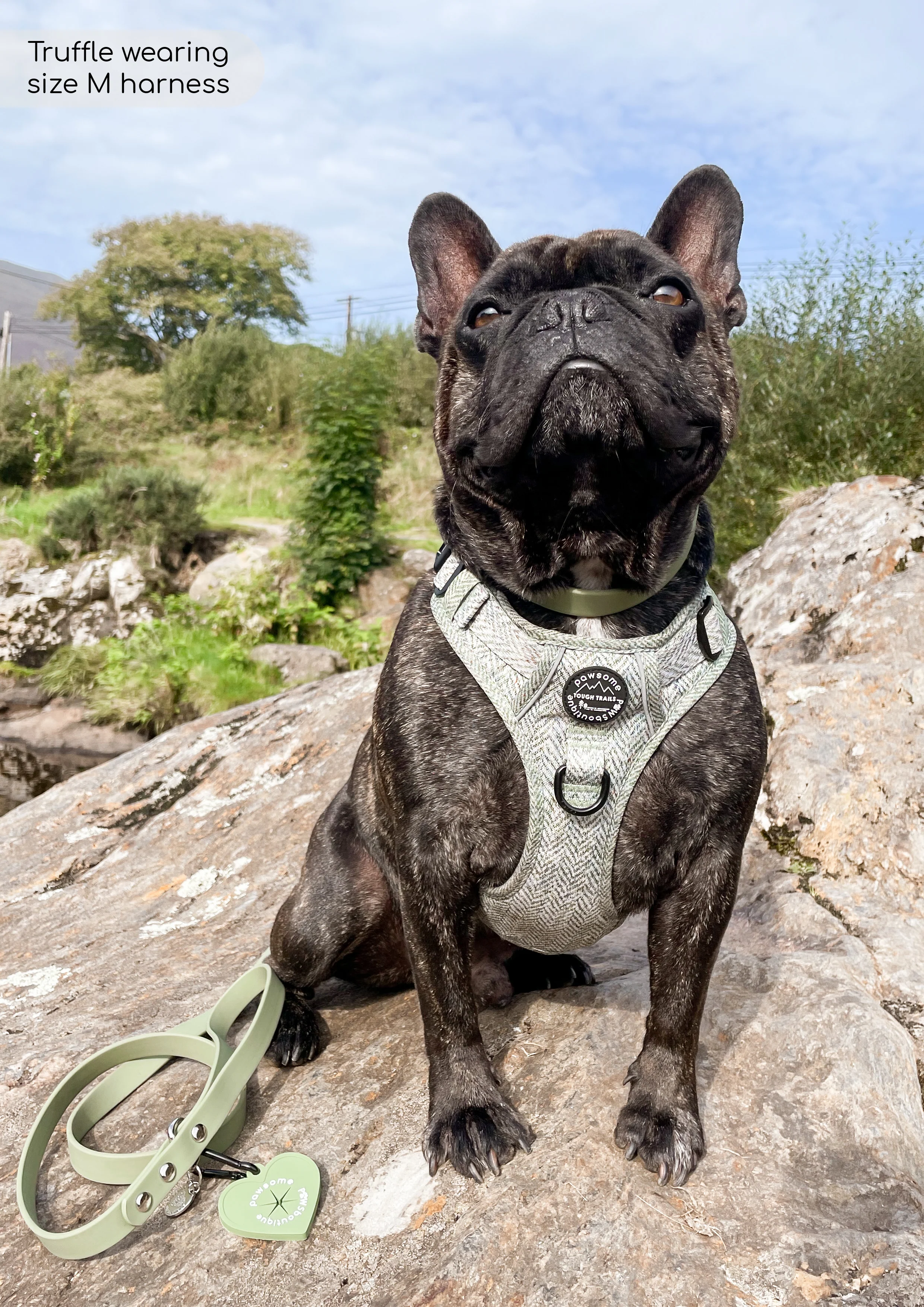 Tough Trails™ Harness - Country Thyme - Image 16