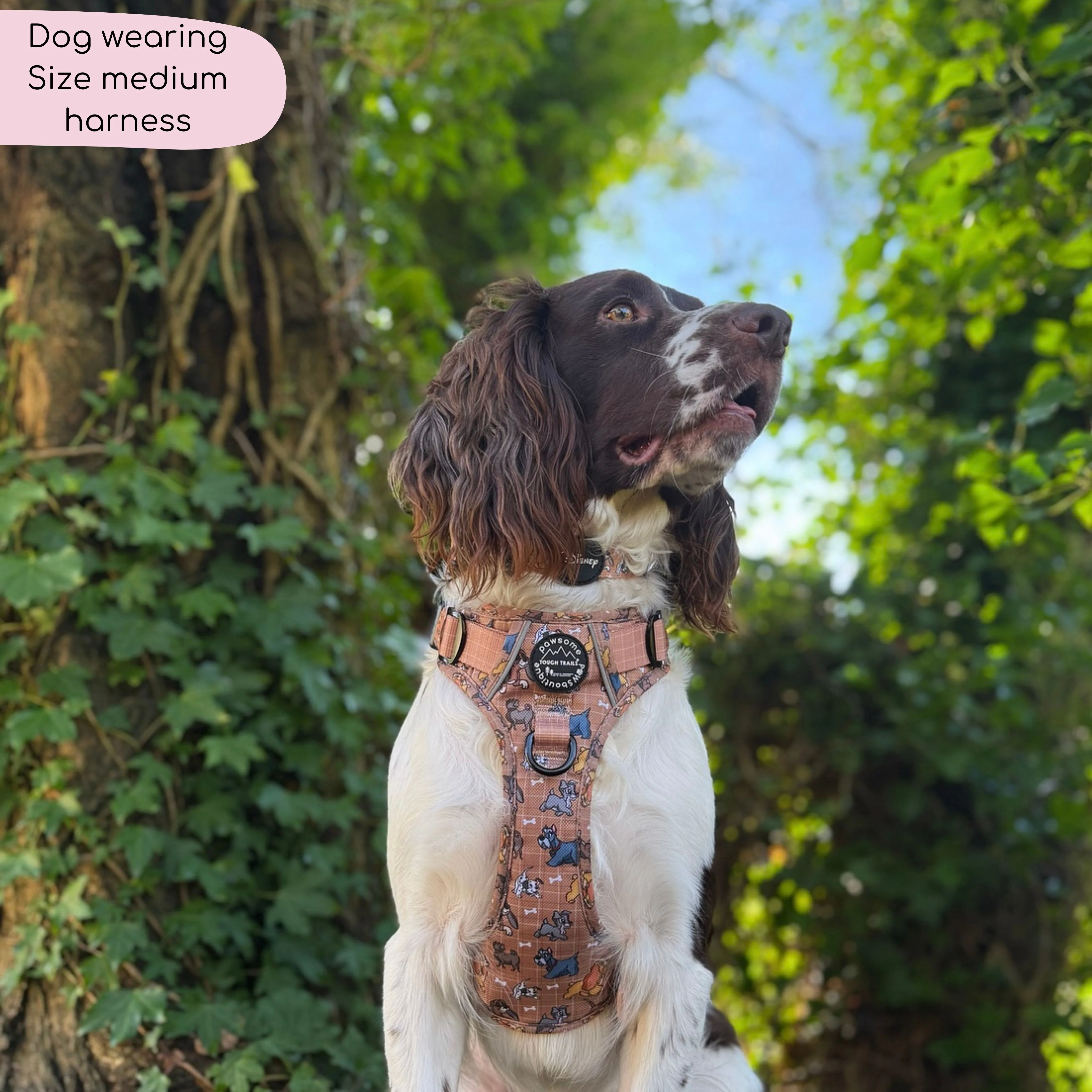 Disney© Tough Trails™ Harness - Disney Dogs - Image 15