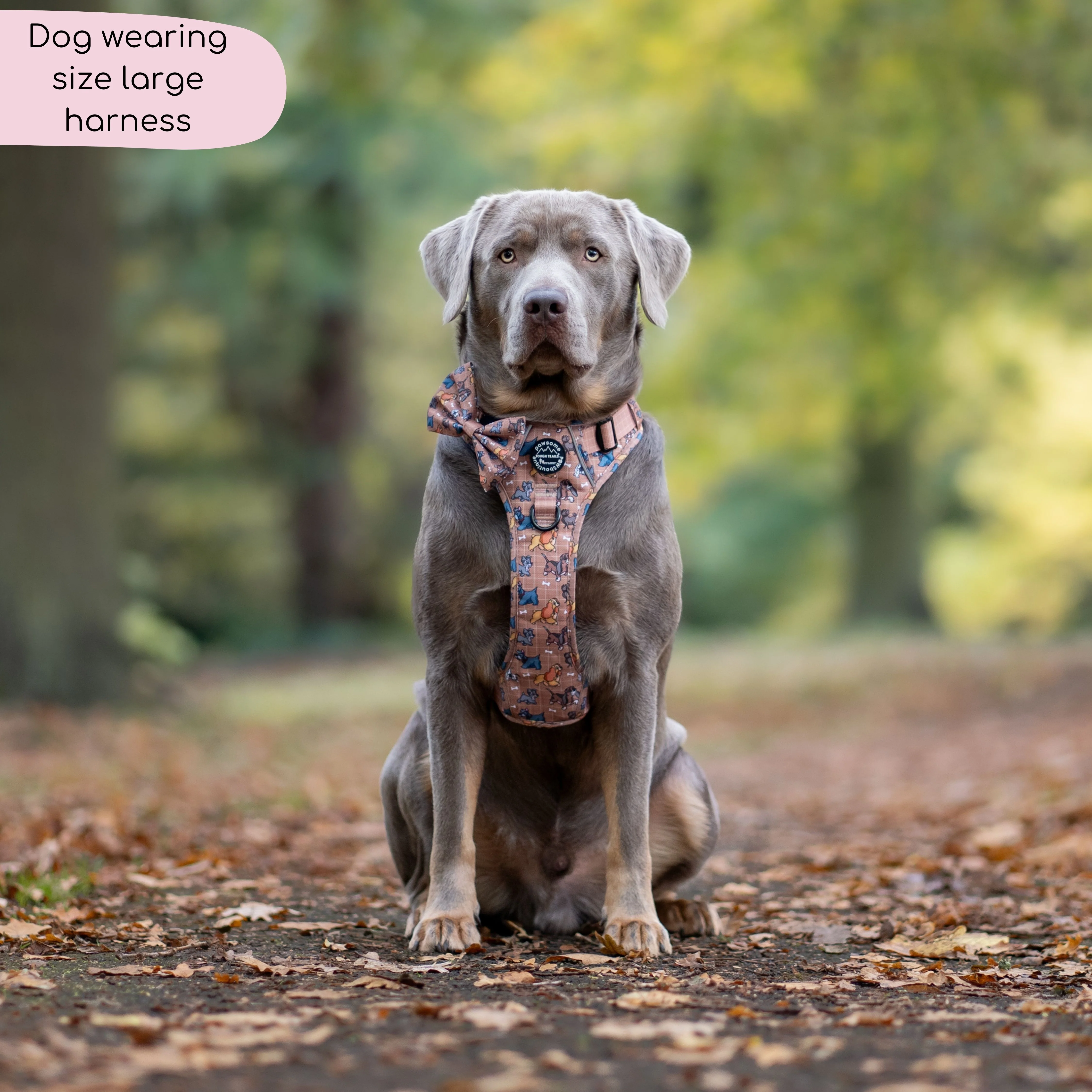 Disney© Tough Trails™ Harness - Disney Dogs - Image 5