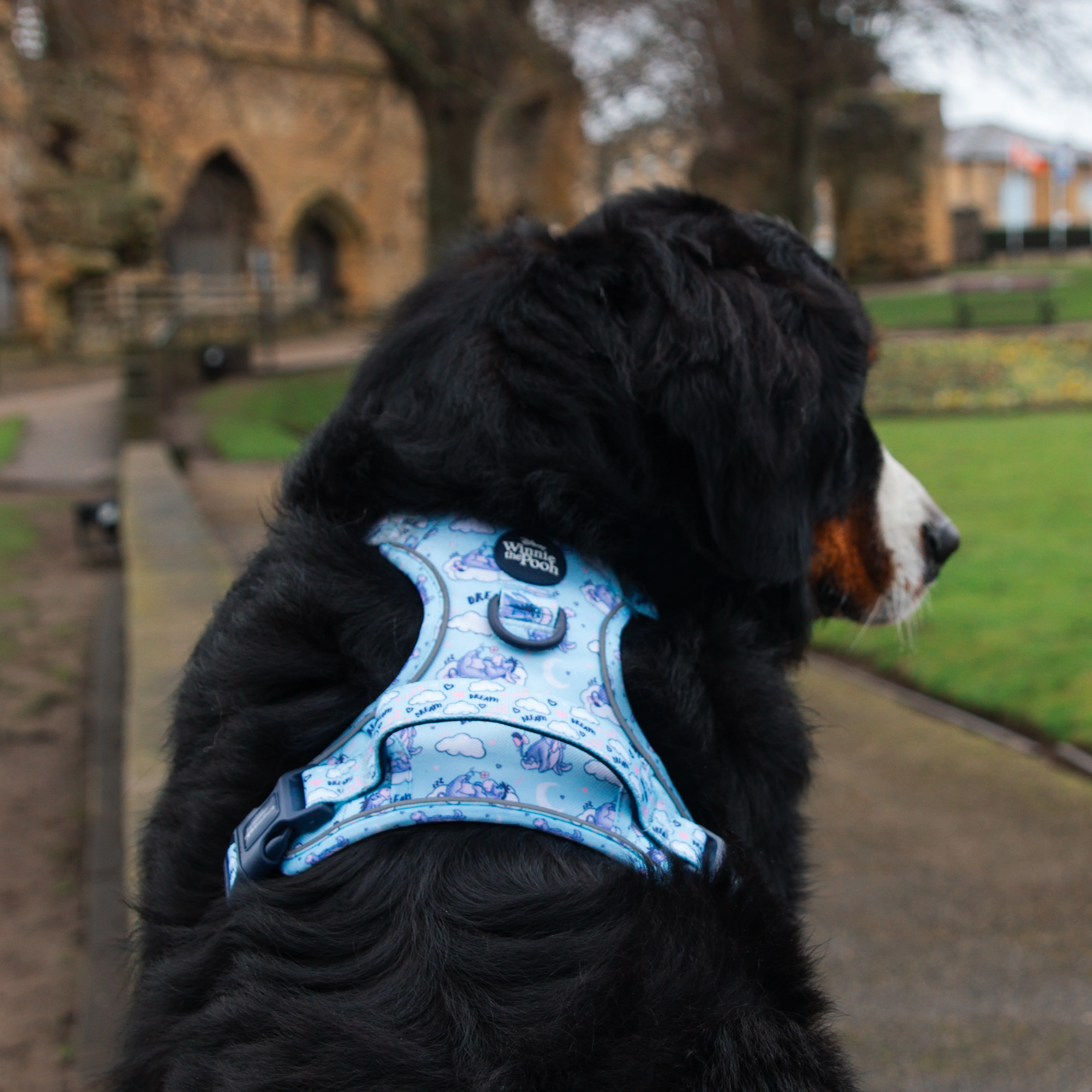 Disney© Tough Trails™ Harness - Eeyore - Image 25