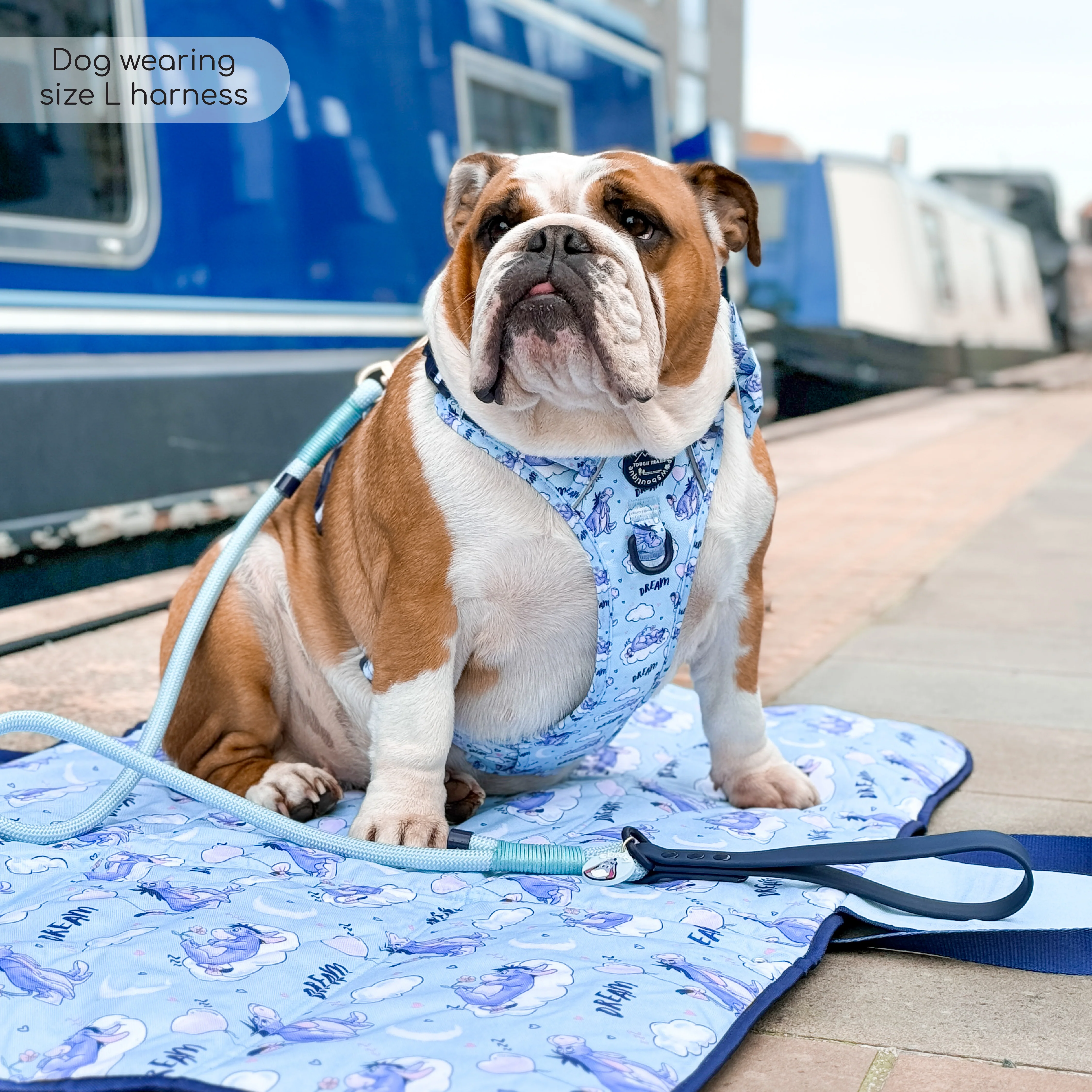 Disney© Tough Trails™ Harness - Eeyore - Image 42