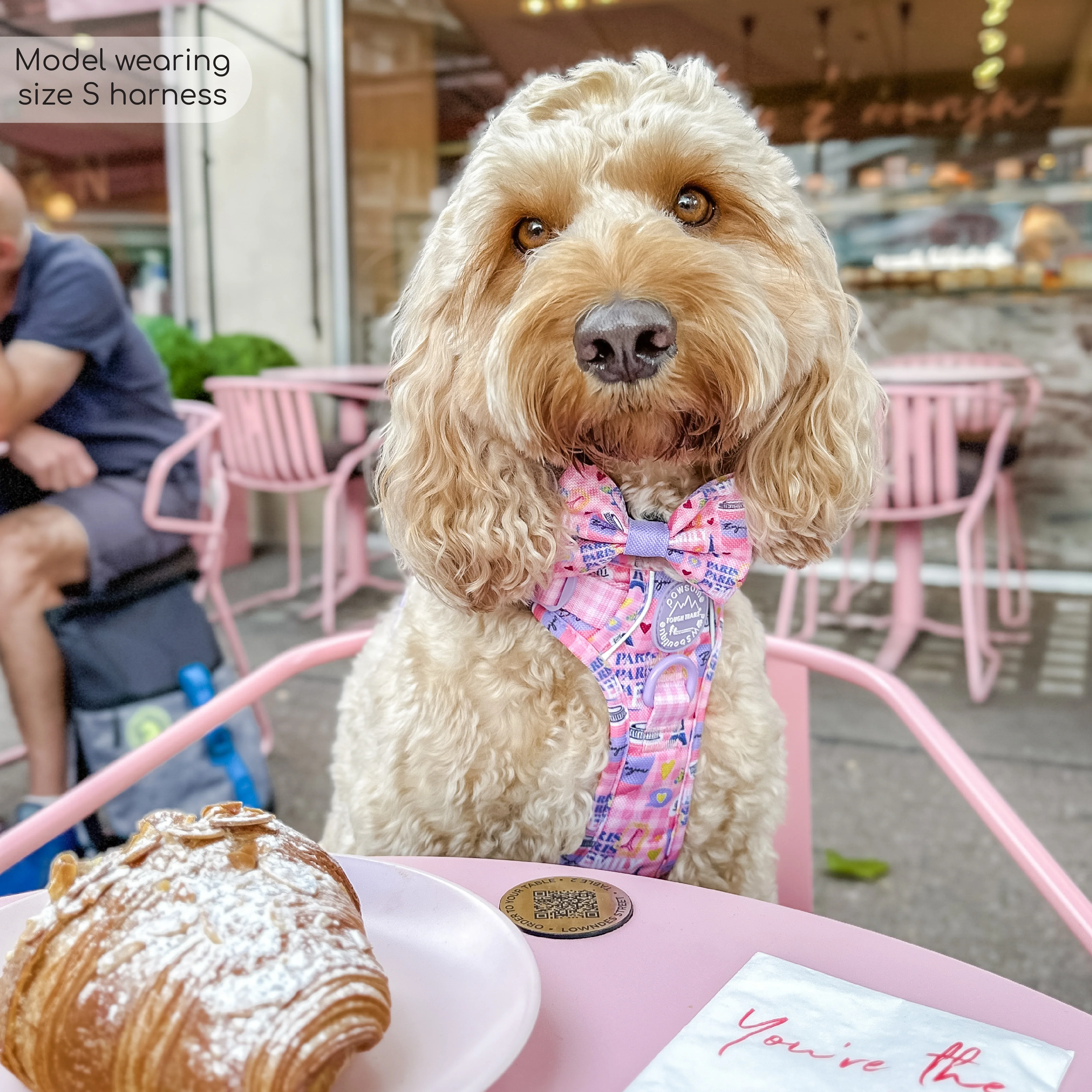 Tough Trails™ Harness - Emily In Paris - Image 11