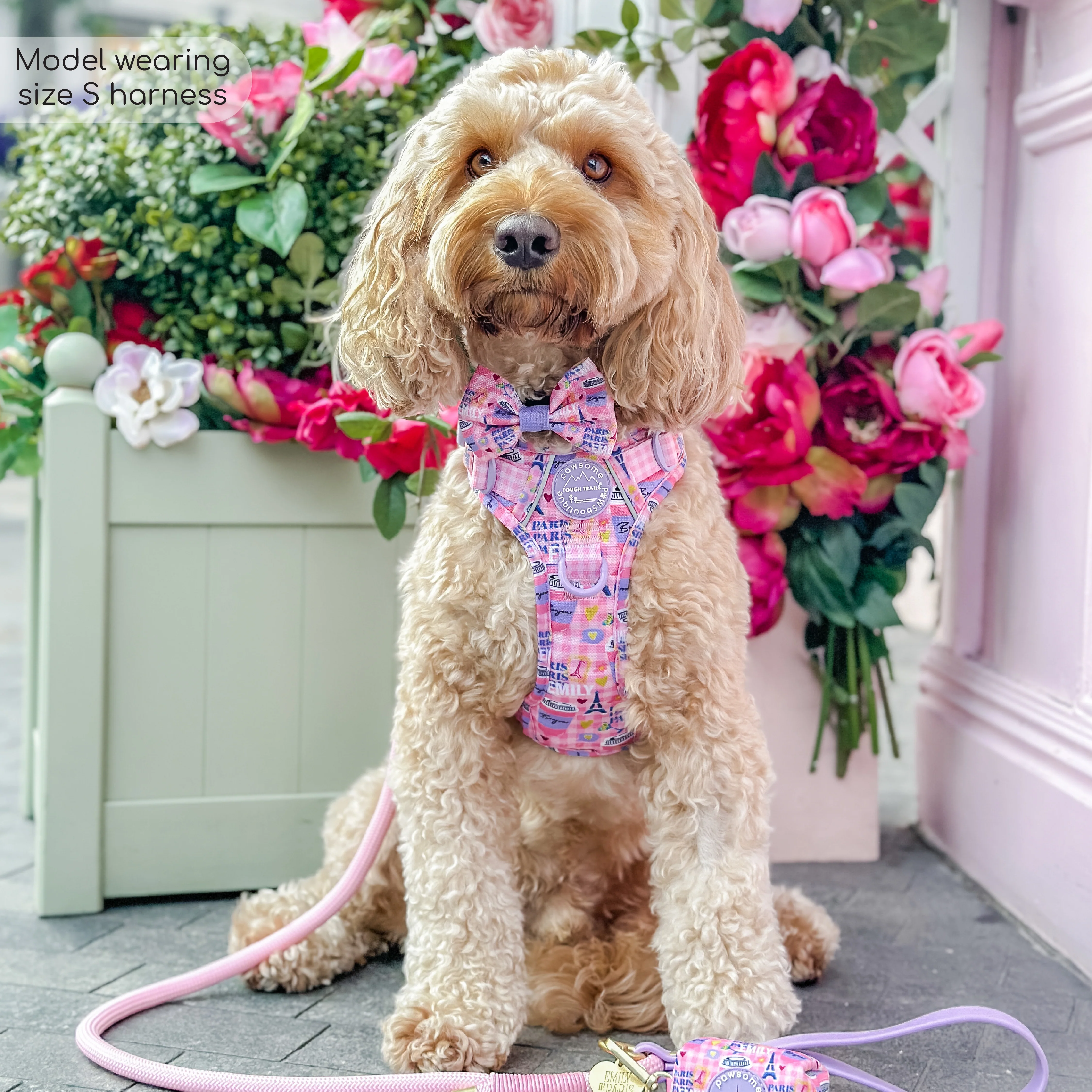 Tough Trails™ Harness - Emily In Paris - Image 12